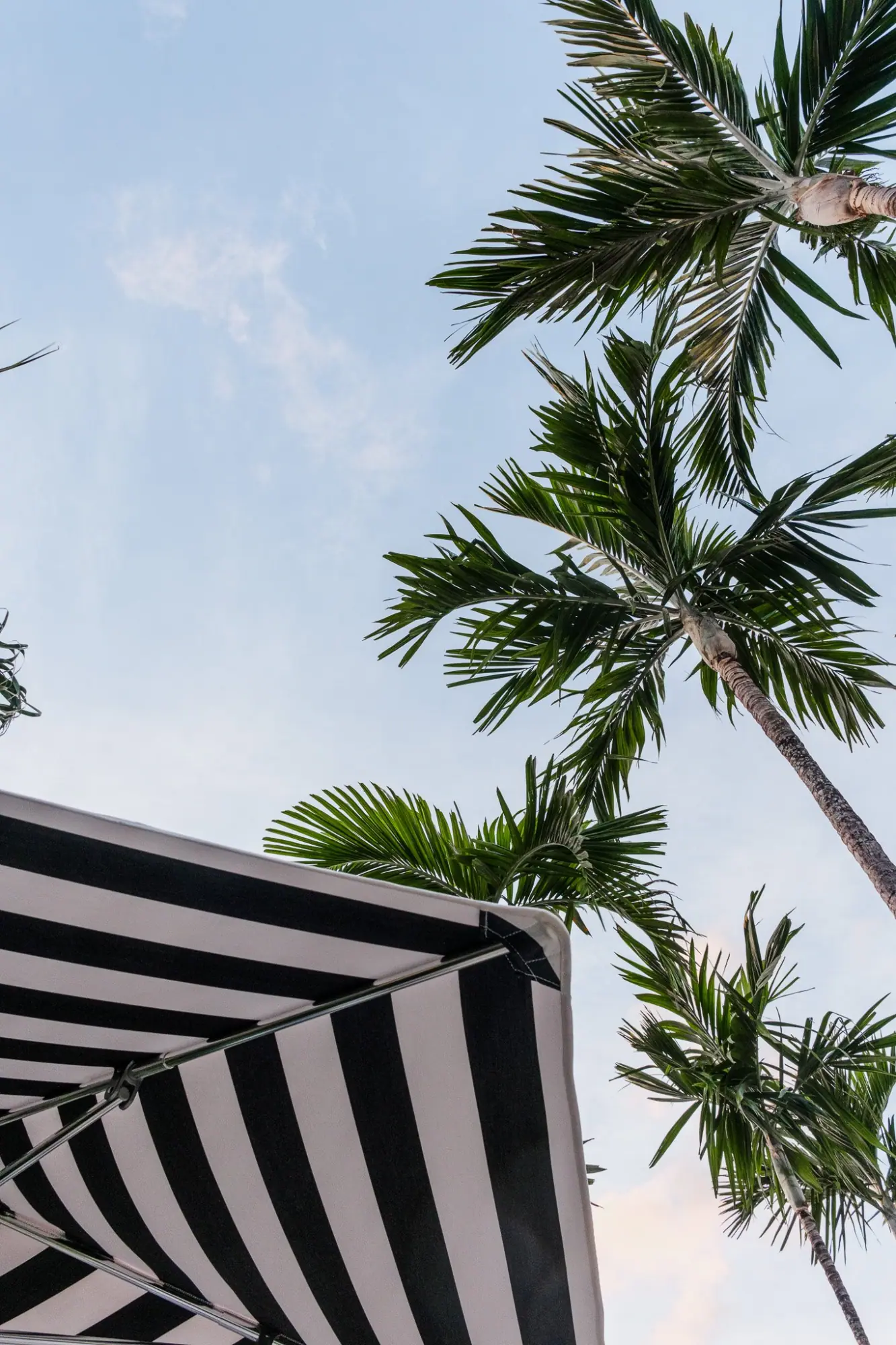 Photo from We continued the day by walking around The Royal Poinciana Plaza, soaking in the design and ambiance, Palm Beach & Miami, FL