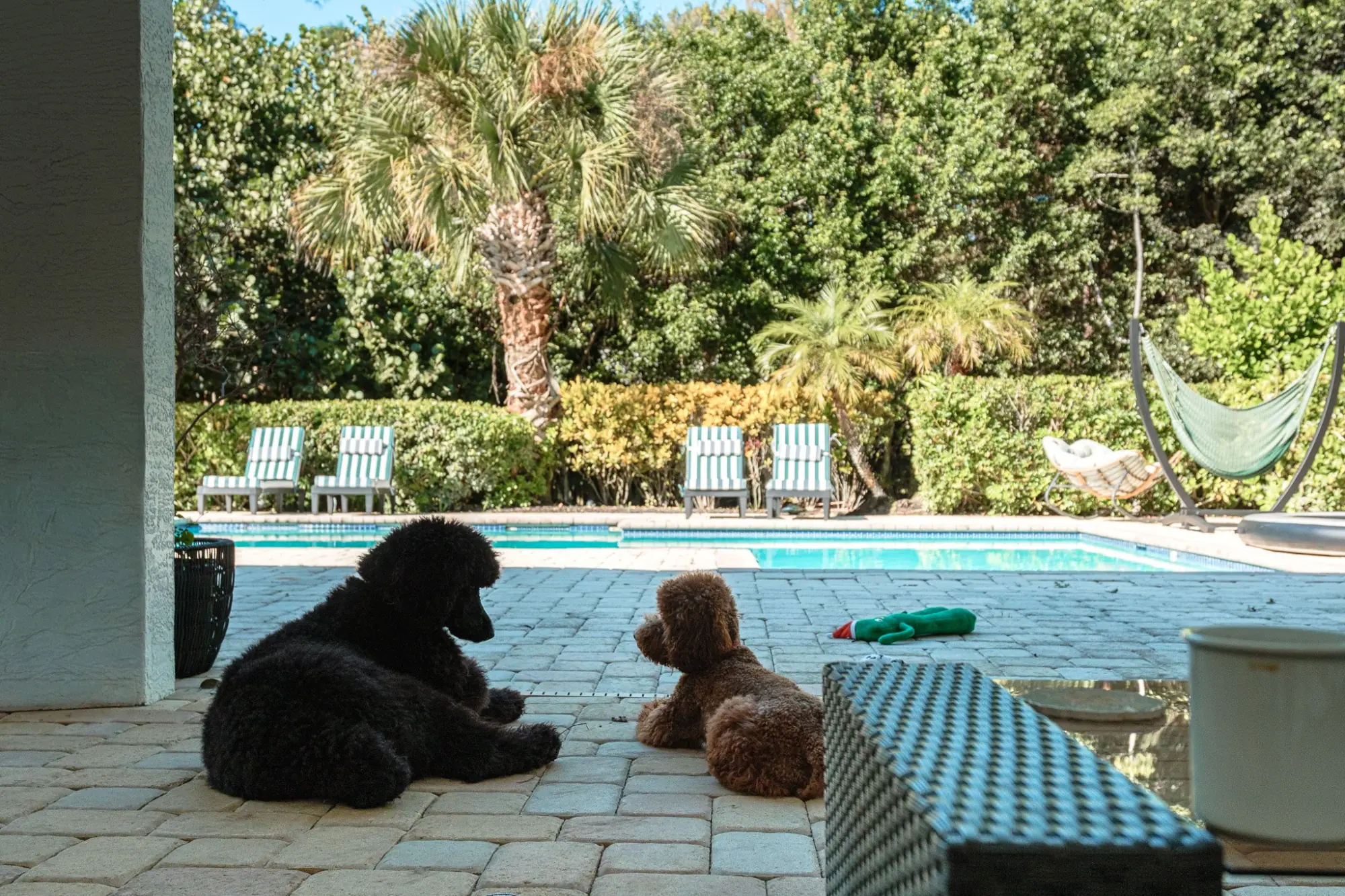 Photo from On our last full day, we drove over to Wellington to stay with our sister-in-law, Palm Beach & Miami, FL