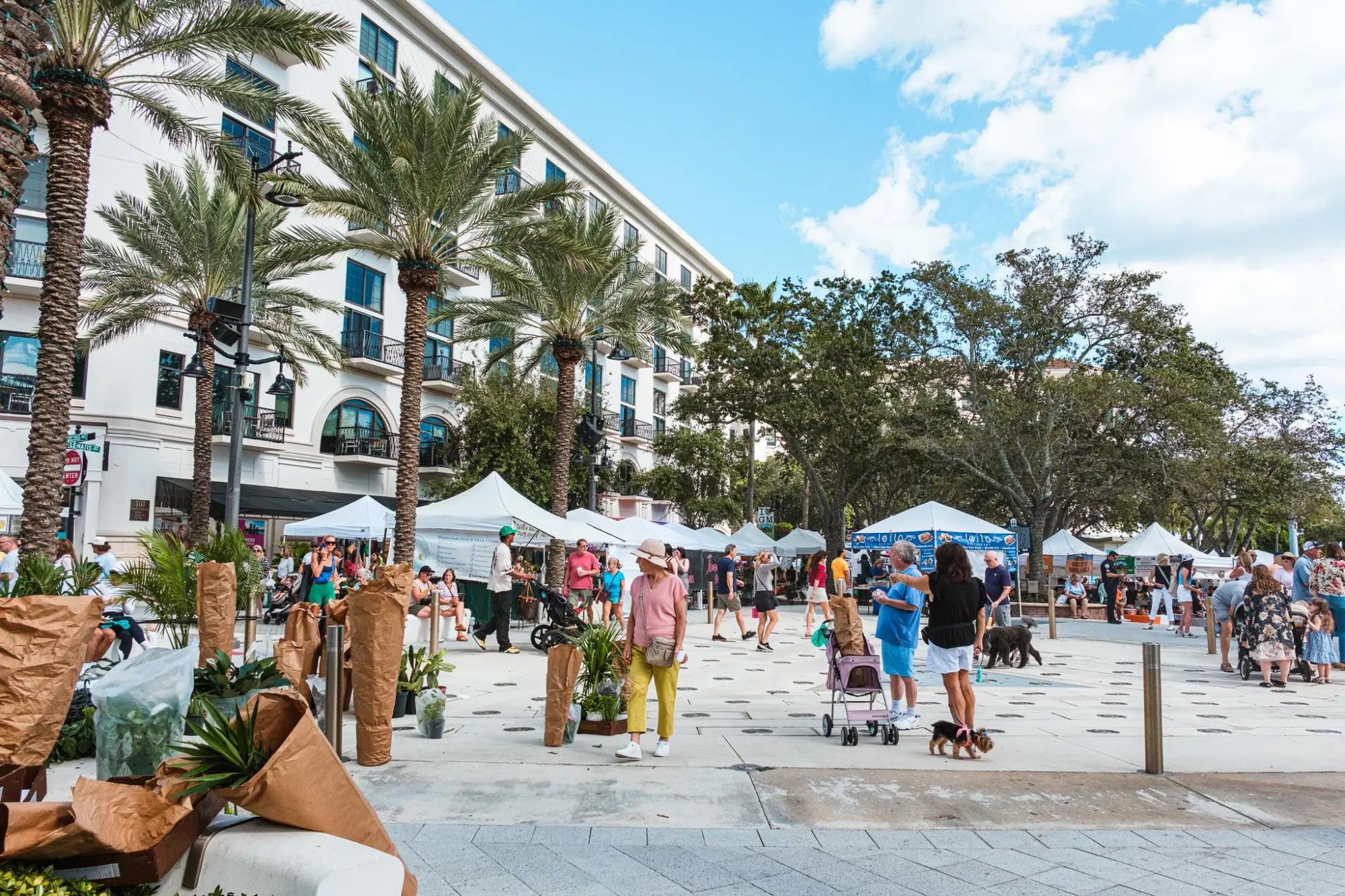 Photo from We all went together to the Farmers Market on West Palm Beach, which was packed in the best way, Palm Beach & Miami, FL
