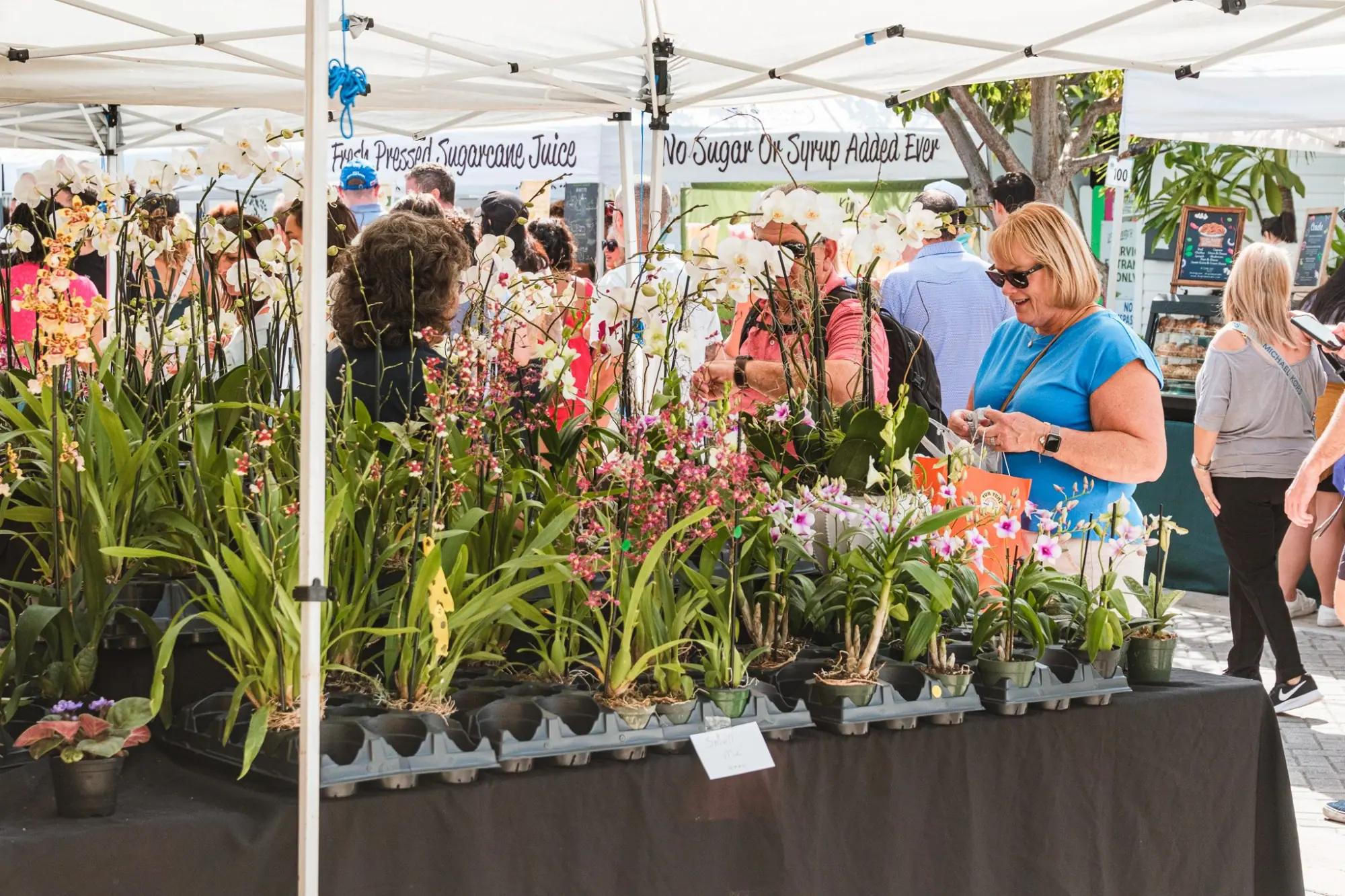 Photo from We all went together to the Farmers Market on West Palm Beach, which was packed in the best way, Palm Beach & Miami, FL