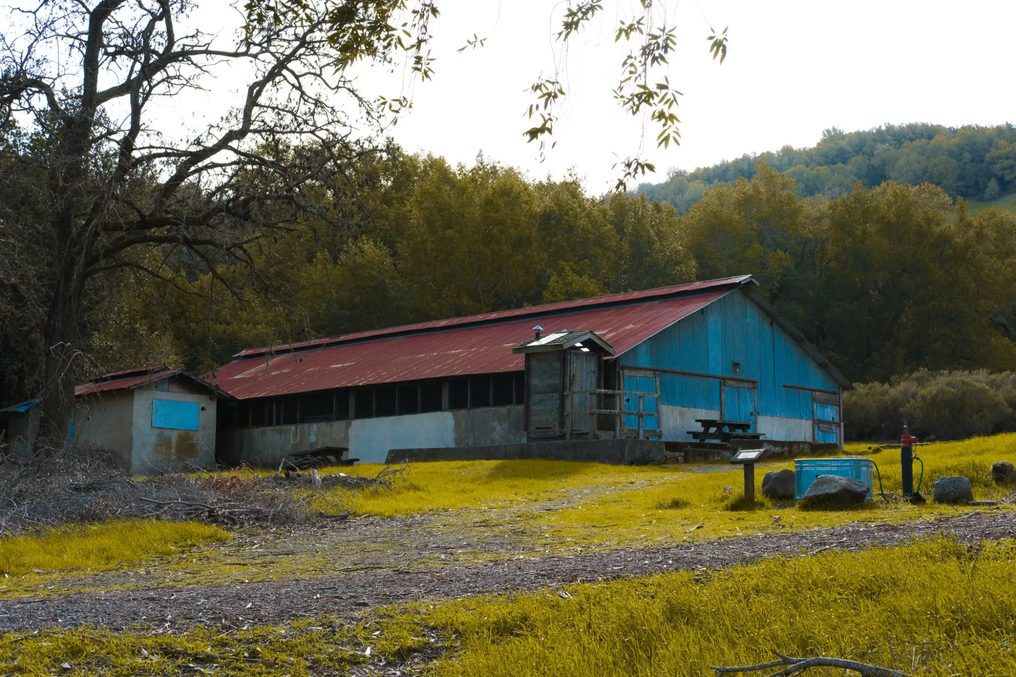 Photo from A Picture-Perfect Day, Novato, CA