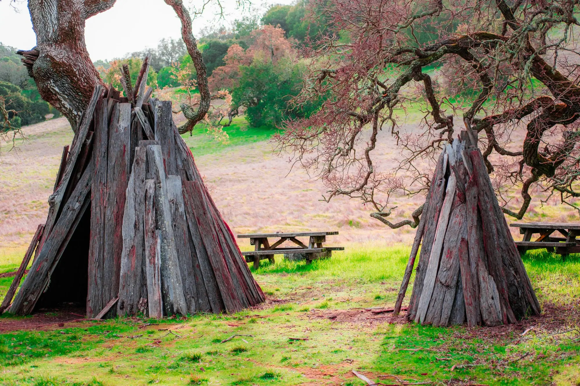 Photo from A Picture-Perfect Day, Novato, CA
