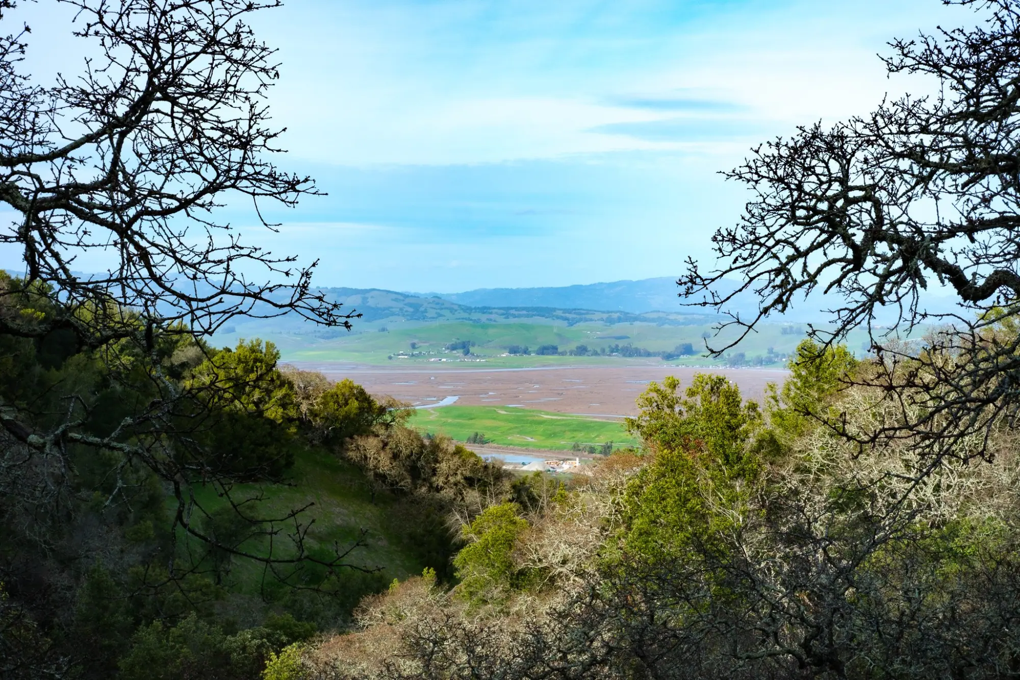 Photo from Hiking the Loop Trail, Novato, CA