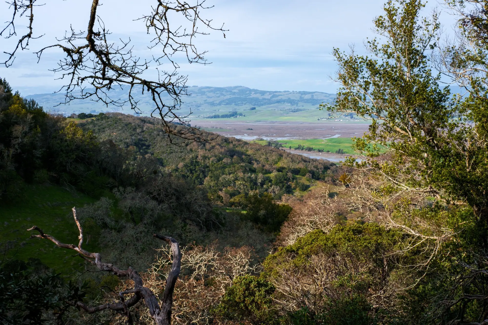 Photo from Hiking the Loop Trail, Novato, CA