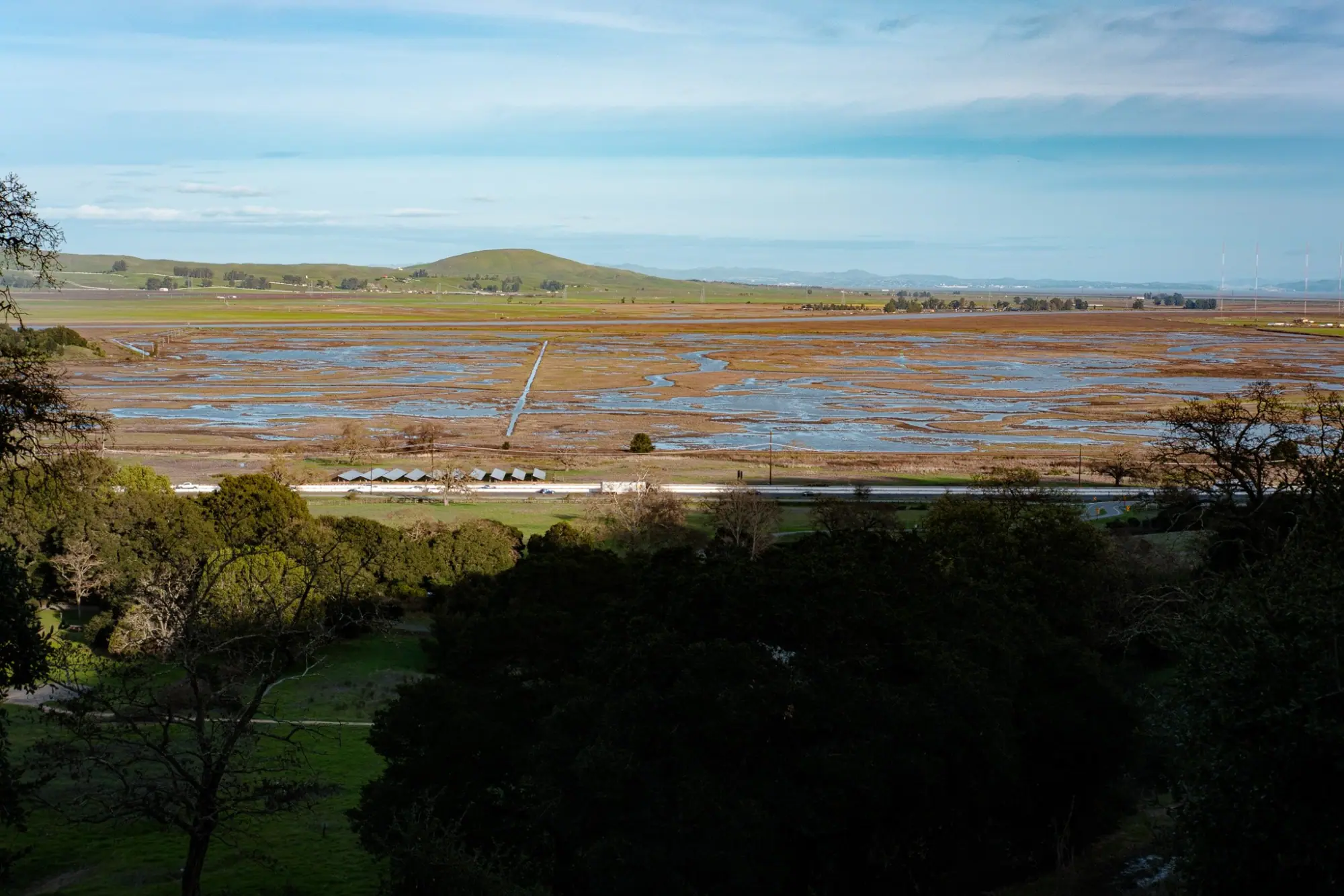 Photo from Hiking the Loop Trail, Novato, CA