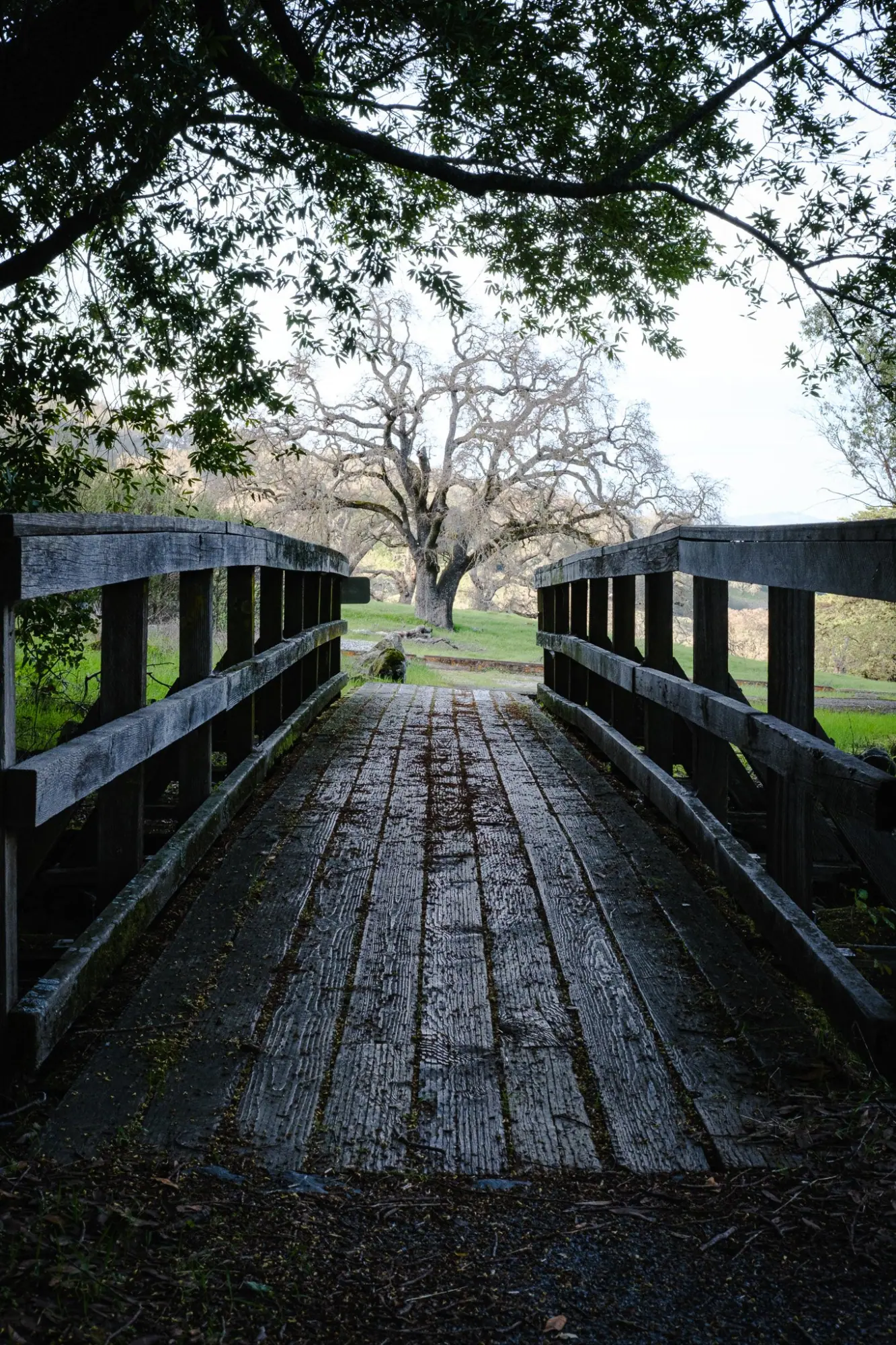 Photo from Hiking the Loop Trail, Novato, CA