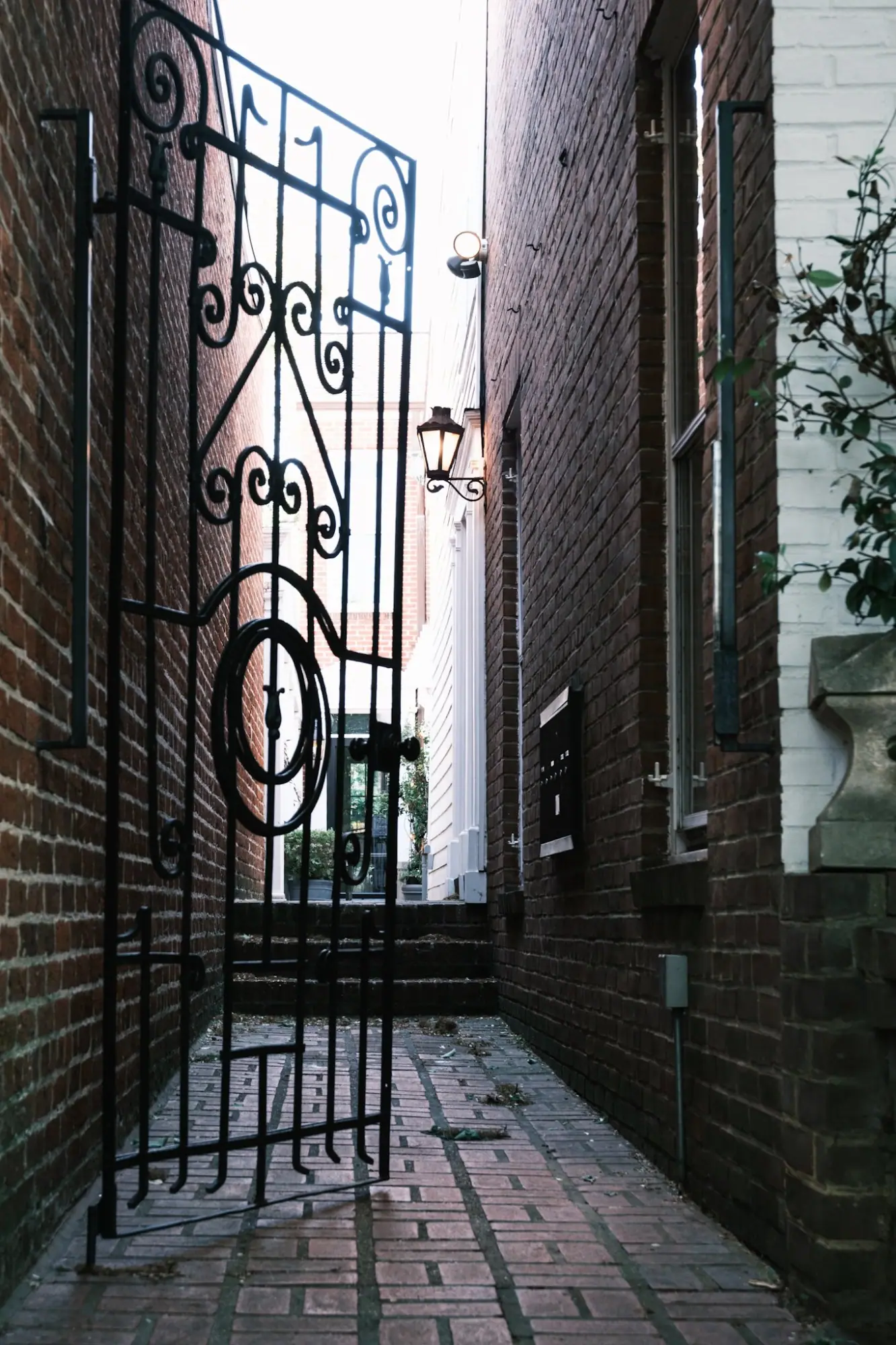 Photo from Later, we wandered the residential streets near Tudor Place, where the homes seemed lifted from a storybook, Washington, DC