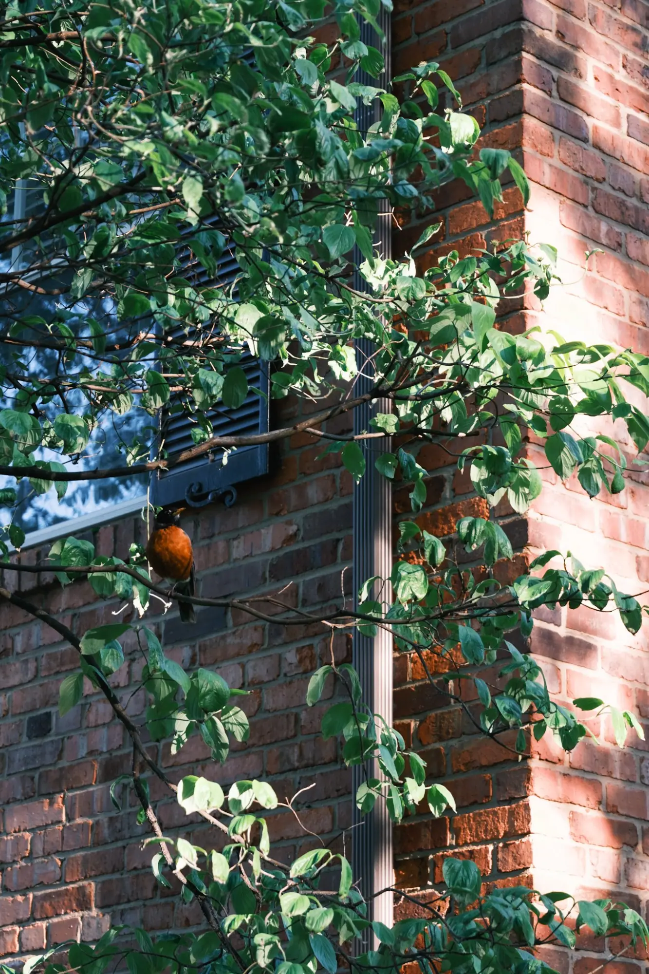Photo from Later, we wandered the residential streets near Tudor Place, where the homes seemed lifted from a storybook, Washington, DC