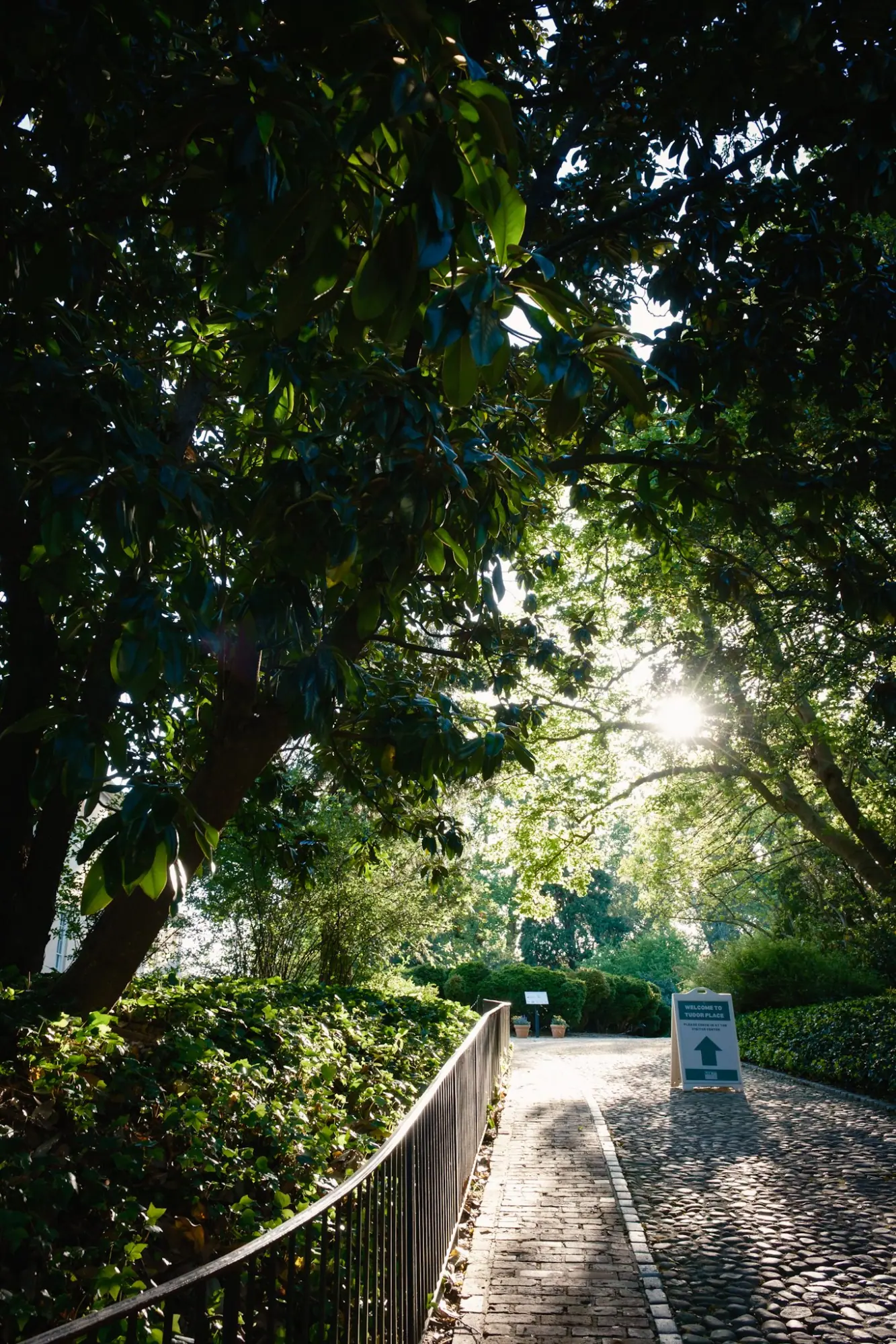 Photo from Later, we wandered the residential streets near Tudor Place, where the homes seemed lifted from a storybook, Washington, DC