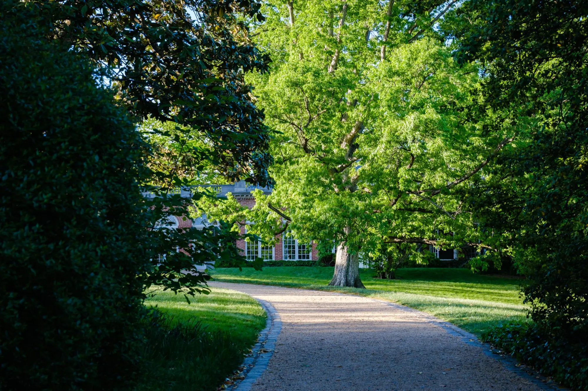 Photo from Later, we wandered the residential streets near Tudor Place, where the homes seemed lifted from a storybook, Washington, DC