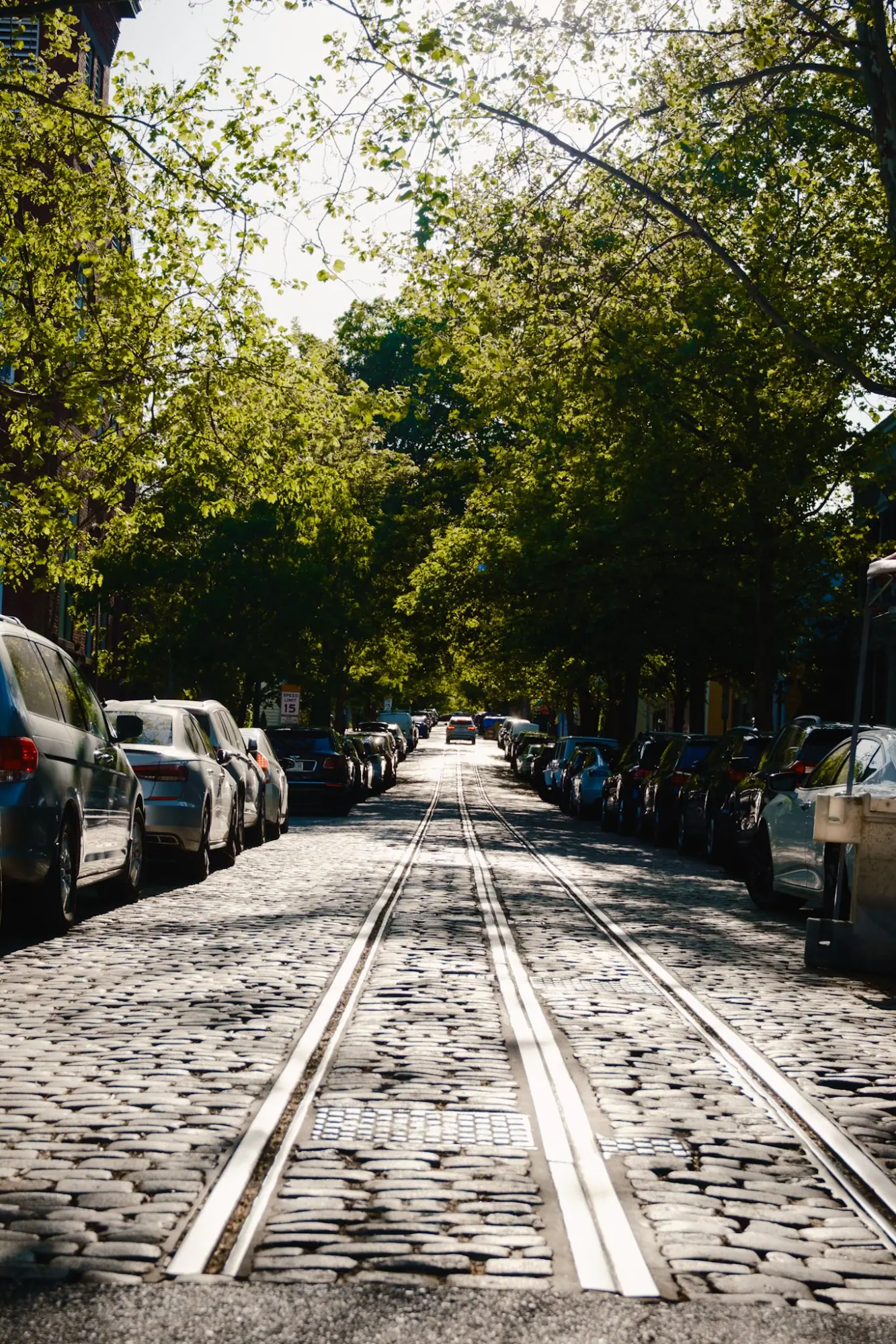 Photo from Later, we wandered the residential streets near Tudor Place, where the homes seemed lifted from a storybook, Washington, DC