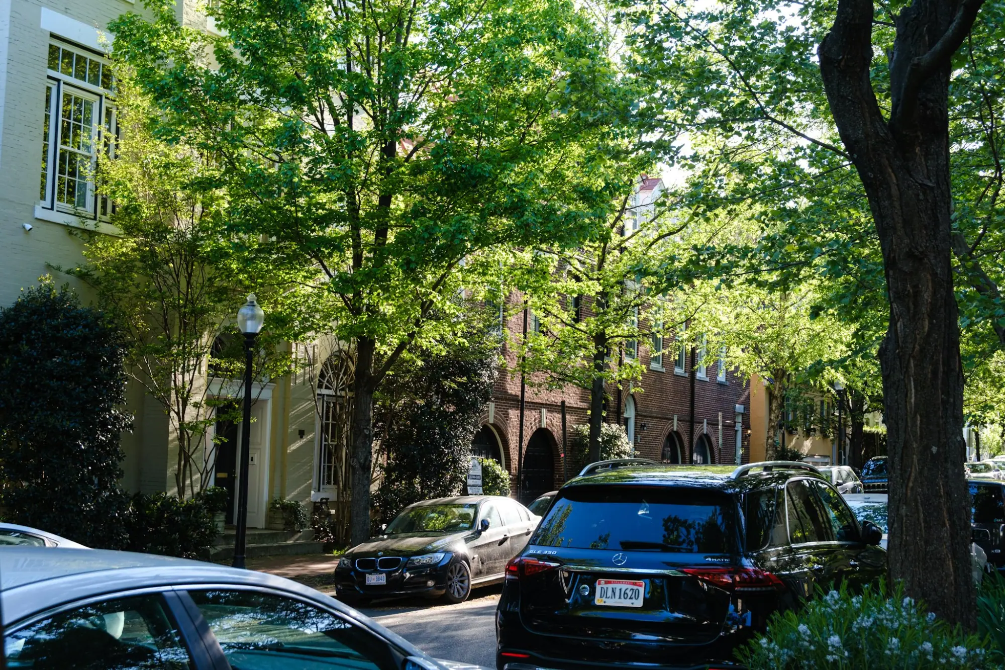 Photo from Later, we wandered the residential streets near Tudor Place, where the homes seemed lifted from a storybook, Washington, DC