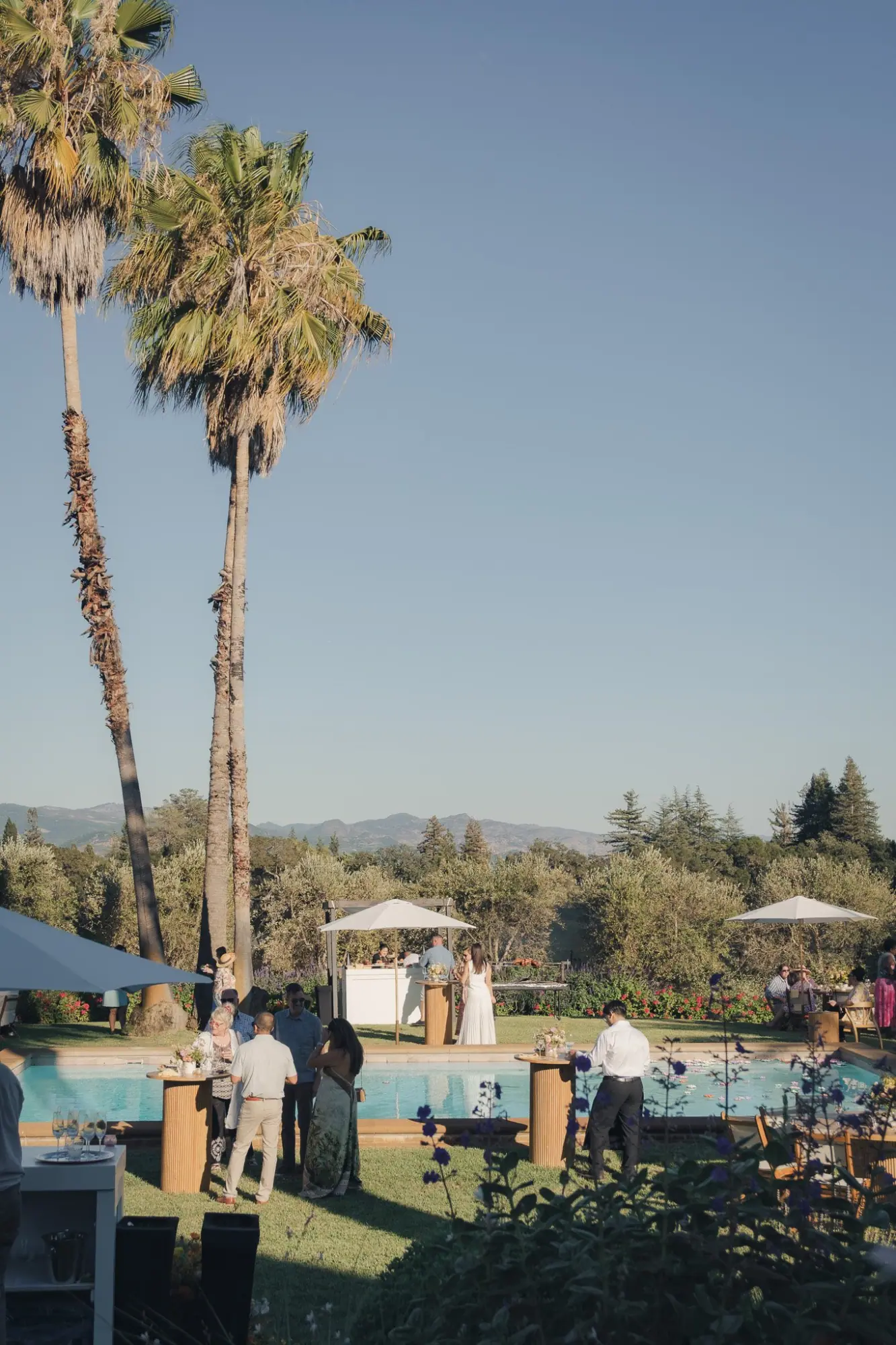 Photo from Farm-to-Table Dining and Lawn Games, St. Helena, CA