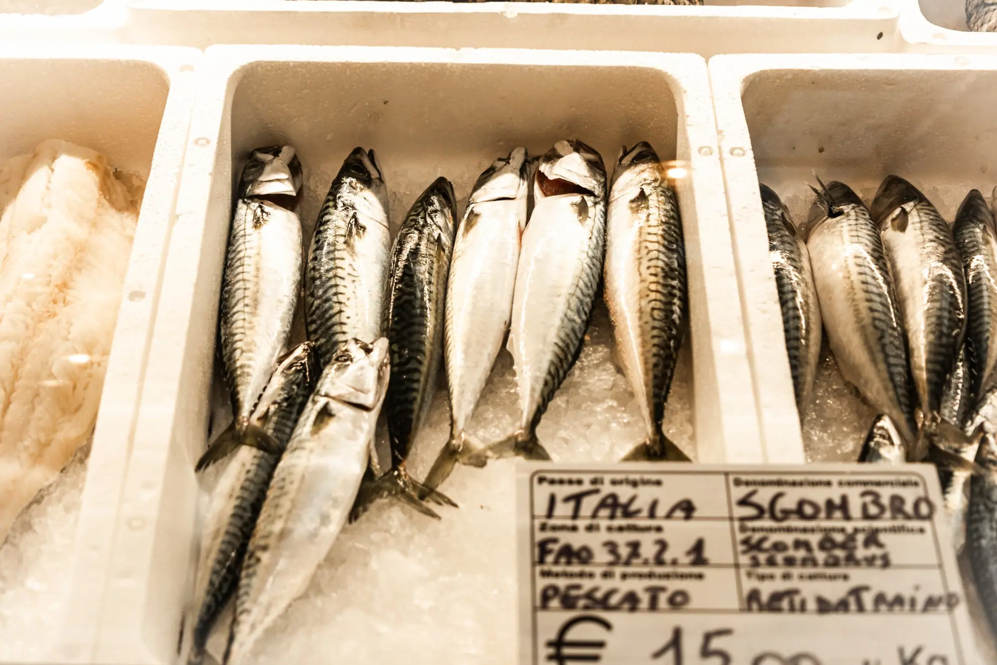 Photo from From there, we wandered to Mercato Albinelli, Modena’s historic covered market