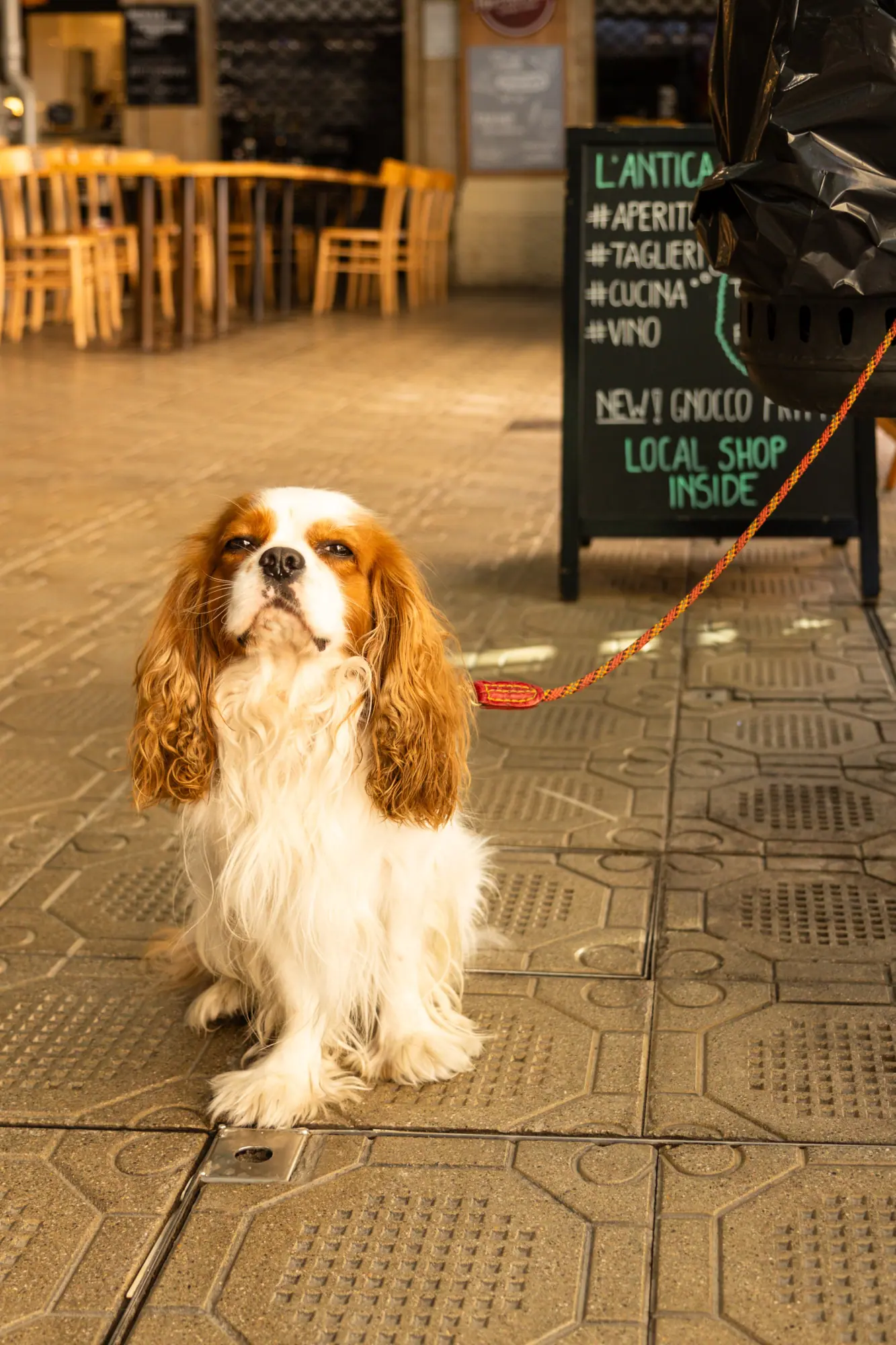 Photo from From there, we wandered to Mercato Albinelli, Modena’s historic covered market