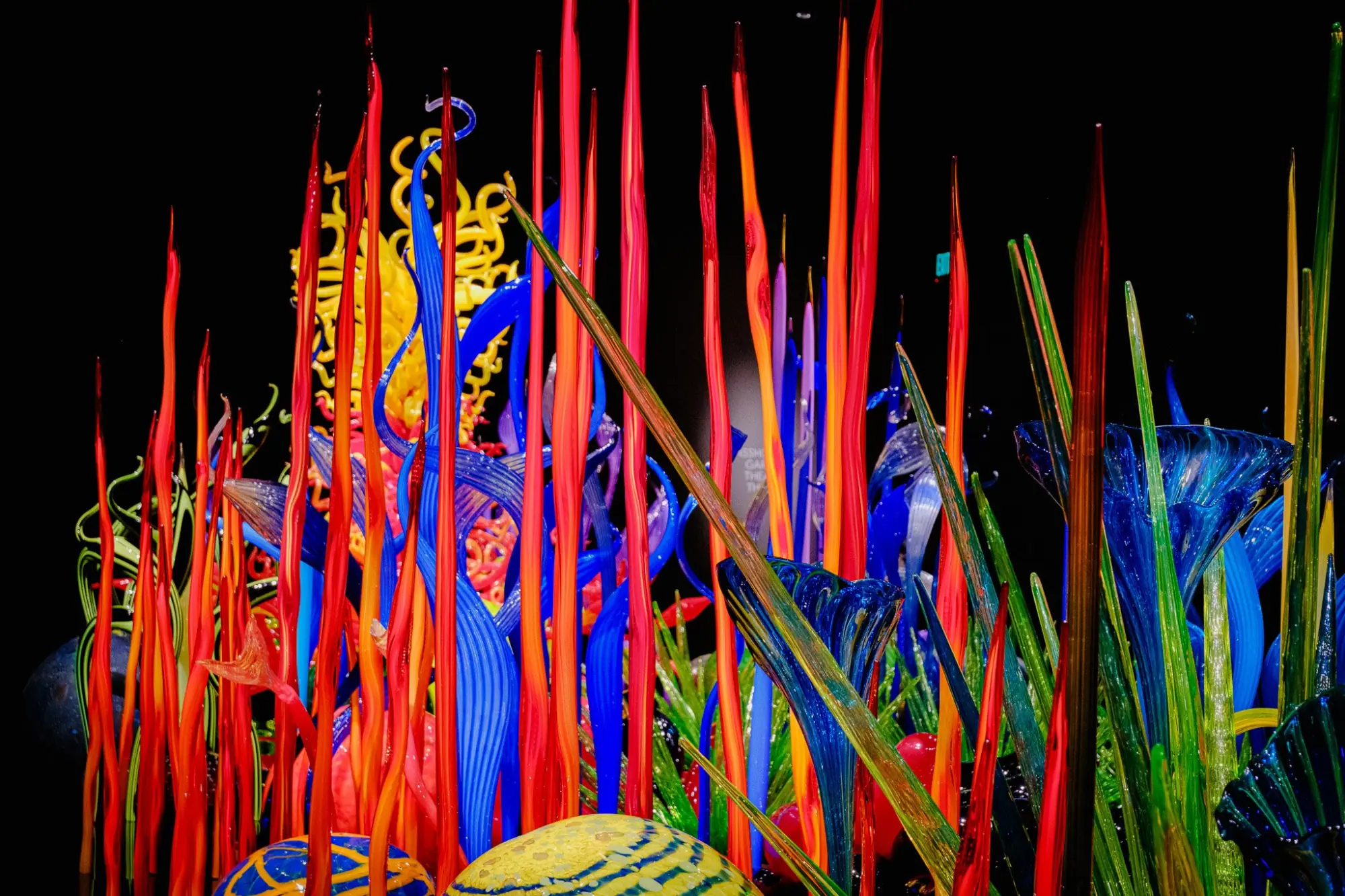 Photo from The Chihuly Garden and Glass Exhibit was a feast for the senses and one of the most awe-inspiring stops on…, Seattle, WA