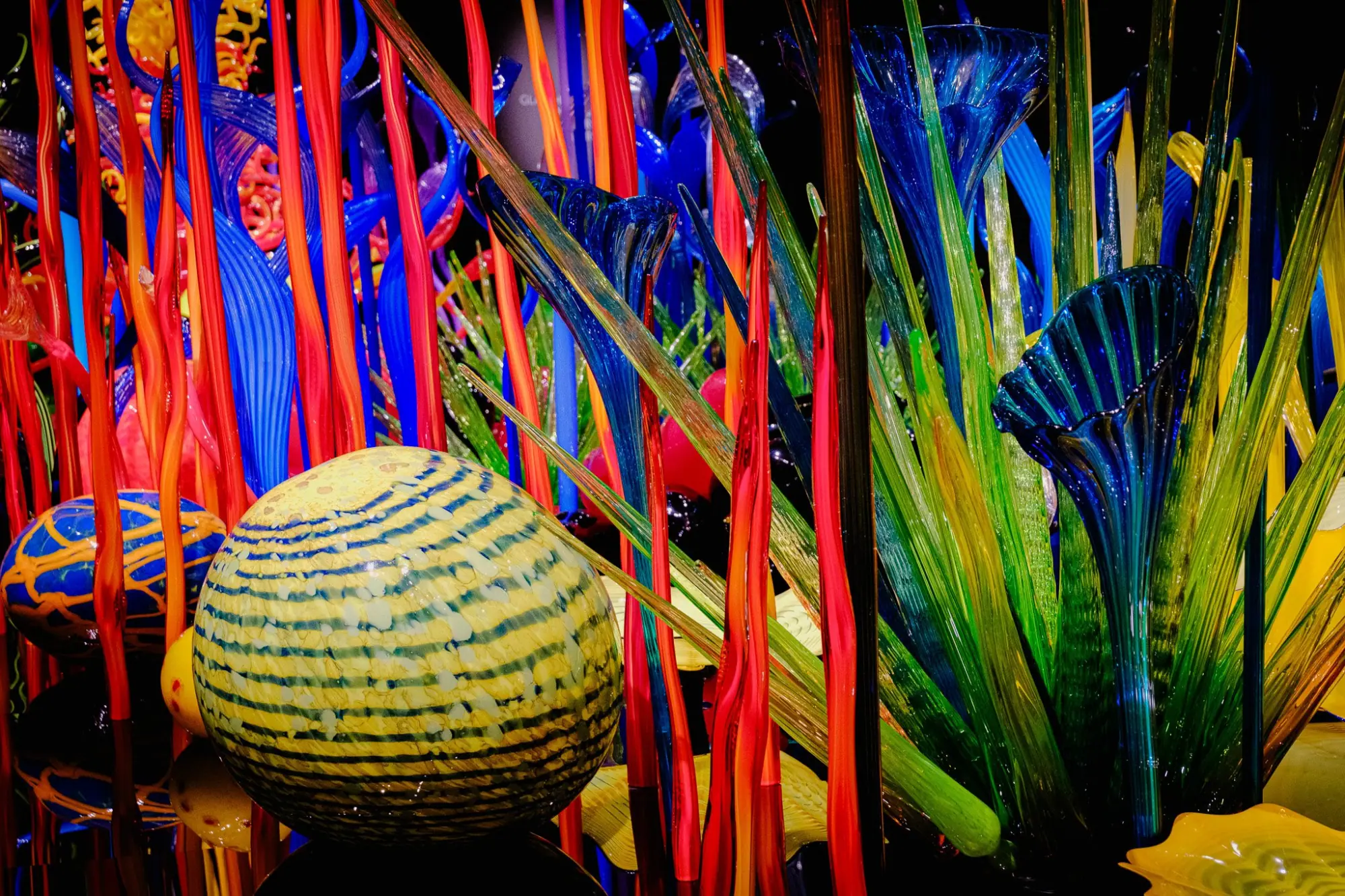 Photo from The Chihuly Garden and Glass Exhibit was a feast for the senses and one of the most awe-inspiring stops on…, Seattle, WA