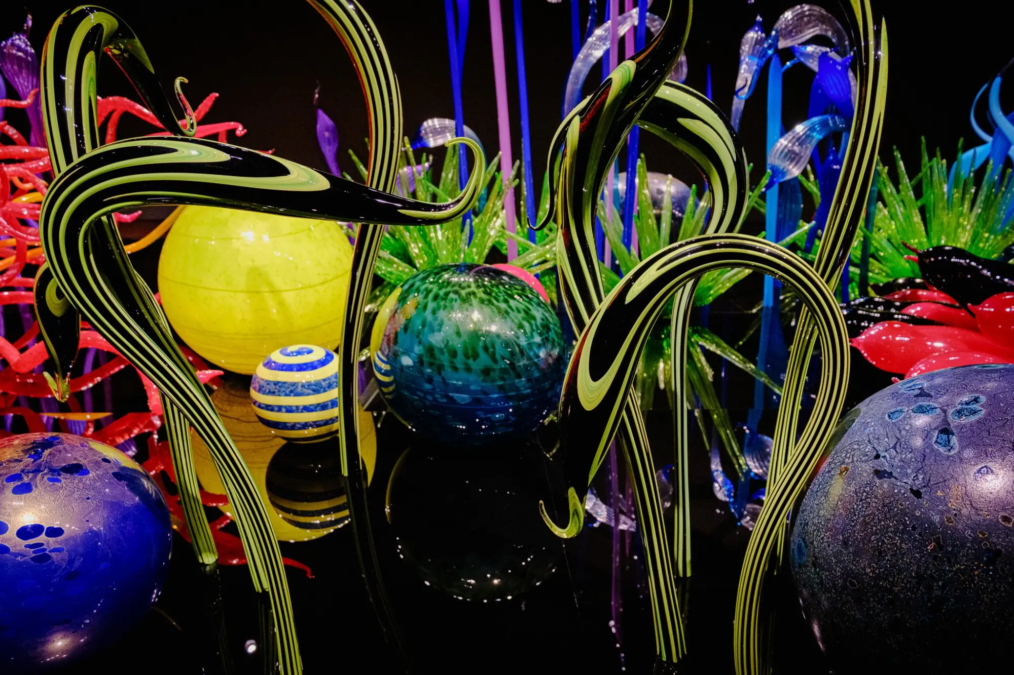 Photo from The Chihuly Garden and Glass Exhibit was a feast for the senses and one of the most awe-inspiring stops on…, Seattle, WA