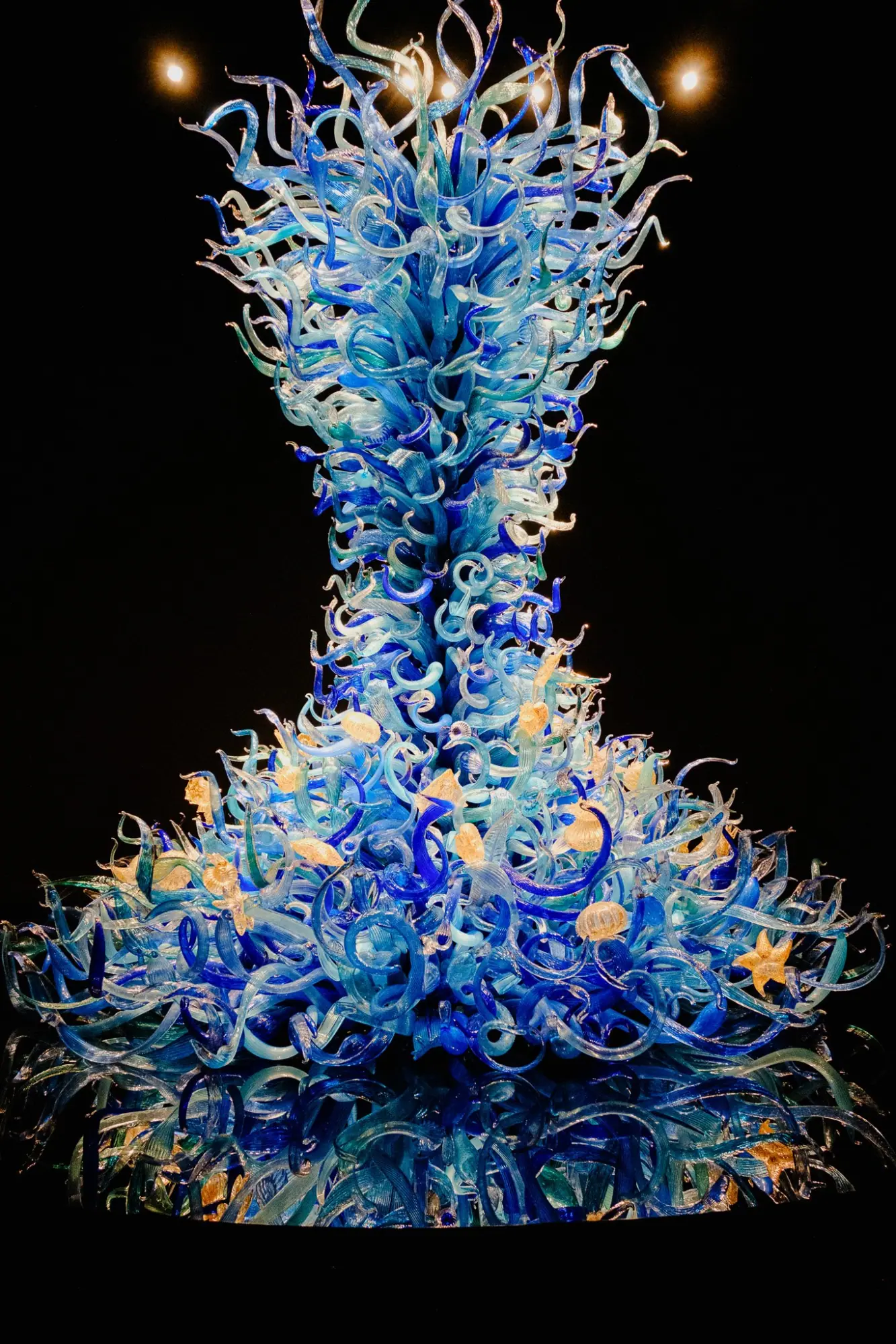 Photo from The Chihuly Garden and Glass Exhibit left us in awe and gave us a newfound appreciation for glass as an…, Seattle, WA
