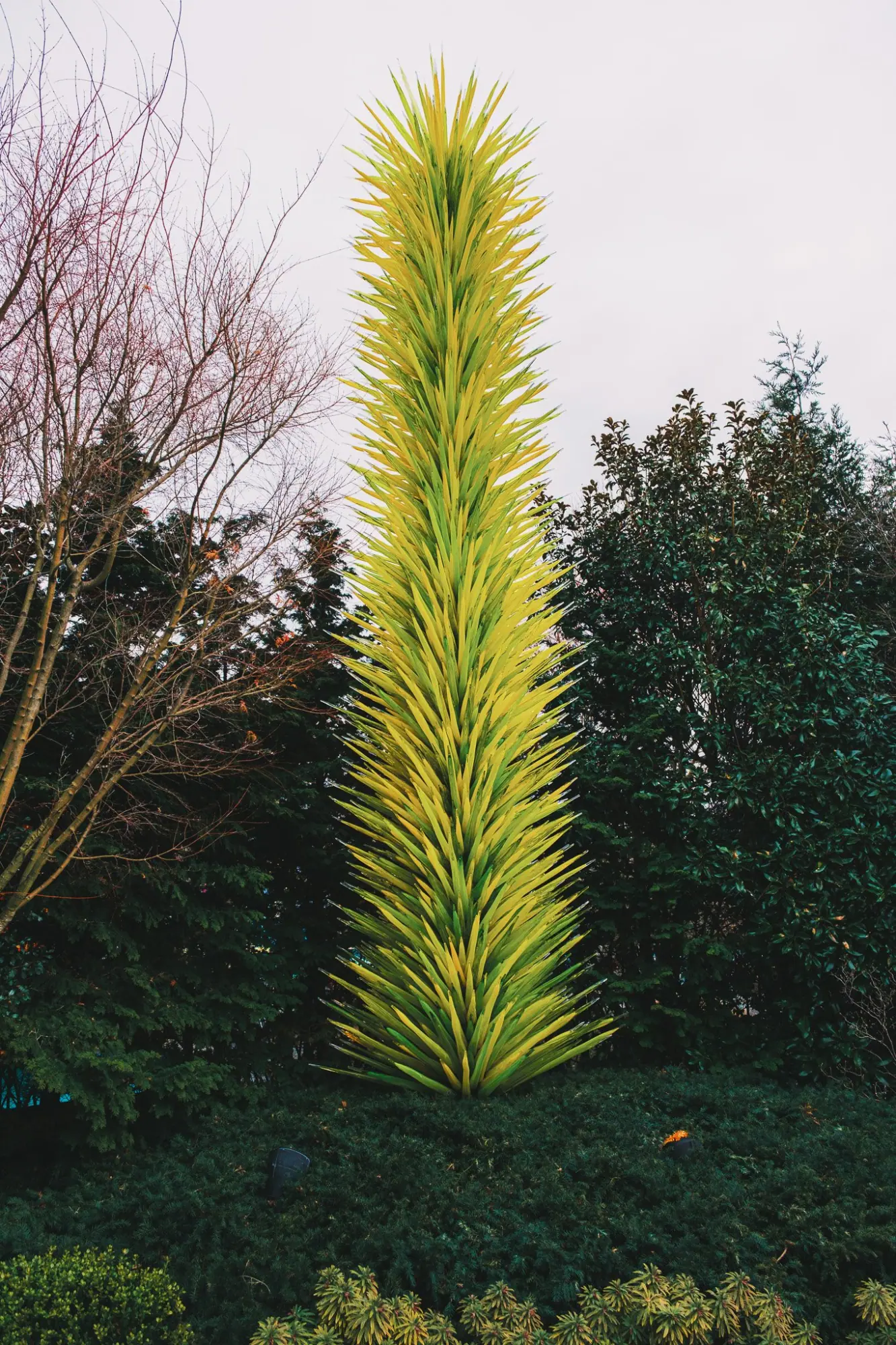 Photo from The Chihuly Garden and Glass Exhibit left us in awe and gave us a newfound appreciation for glass as an…, Seattle, WA