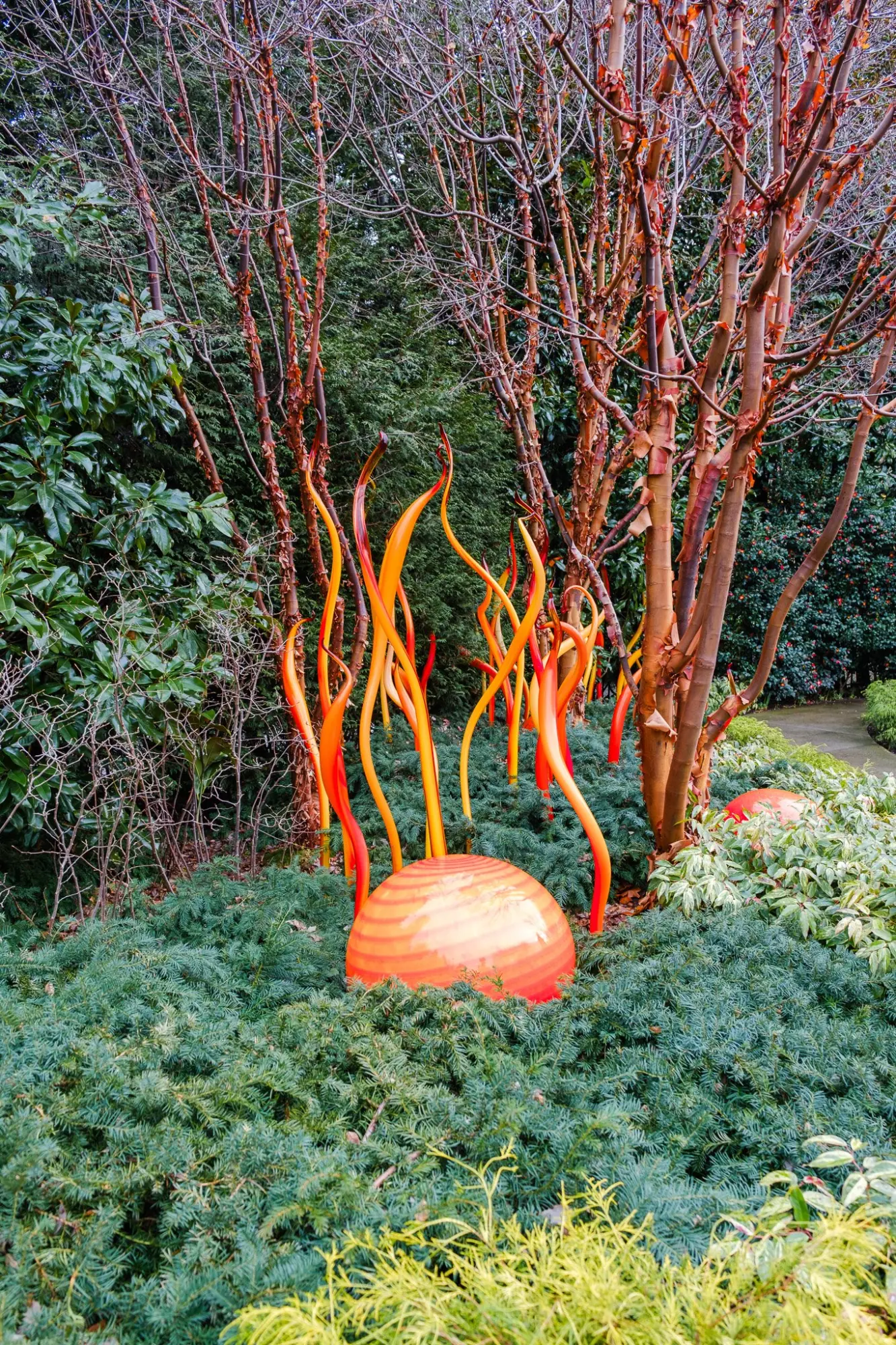 Photo from The Chihuly Garden and Glass Exhibit left us in awe and gave us a newfound appreciation for glass as an…, Seattle, WA