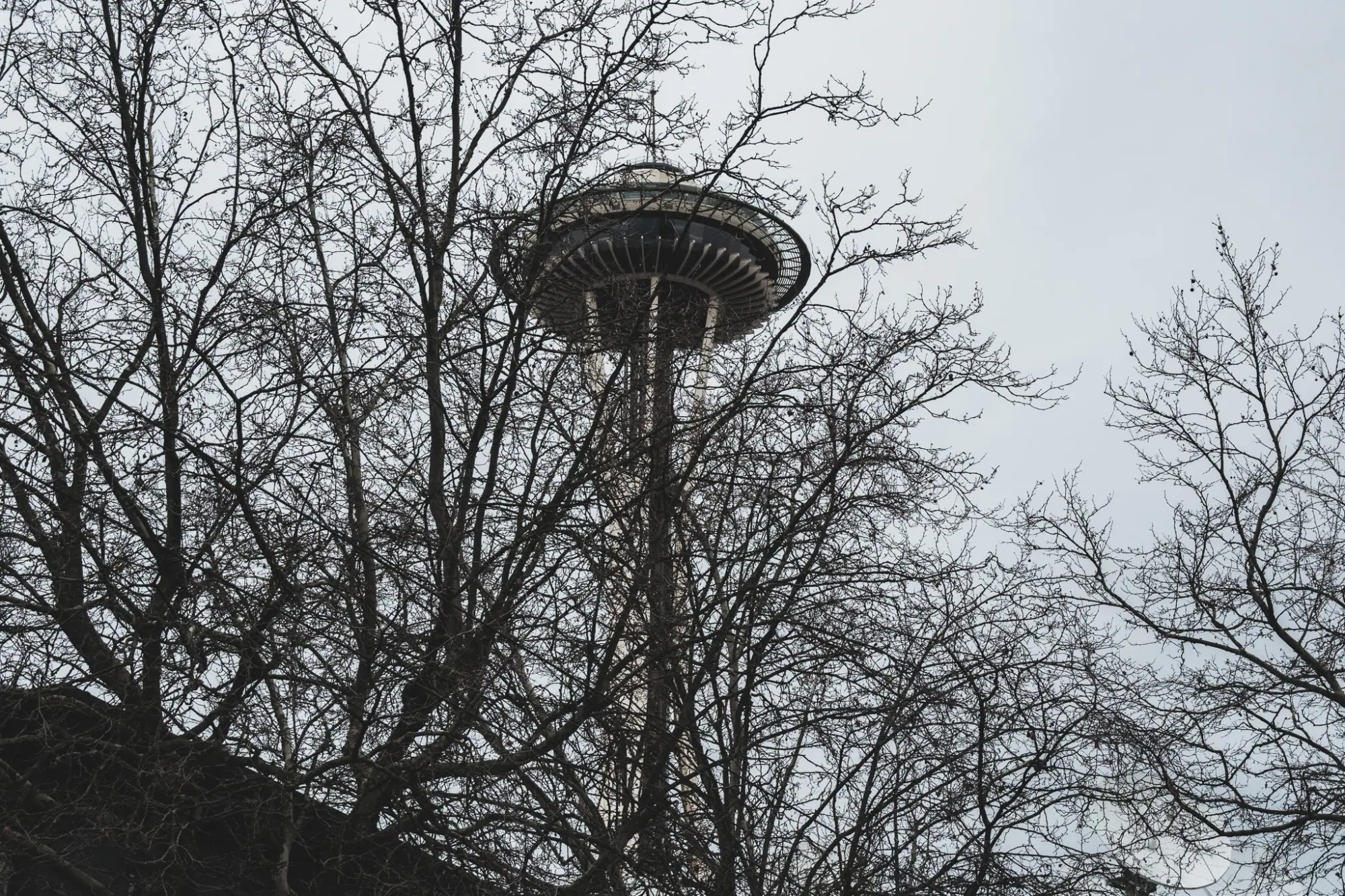 Photo from The Space Needle’s rotating floor, combined with its breathtaking views, made for a once-in-a-lifetime…, Seattle, WA