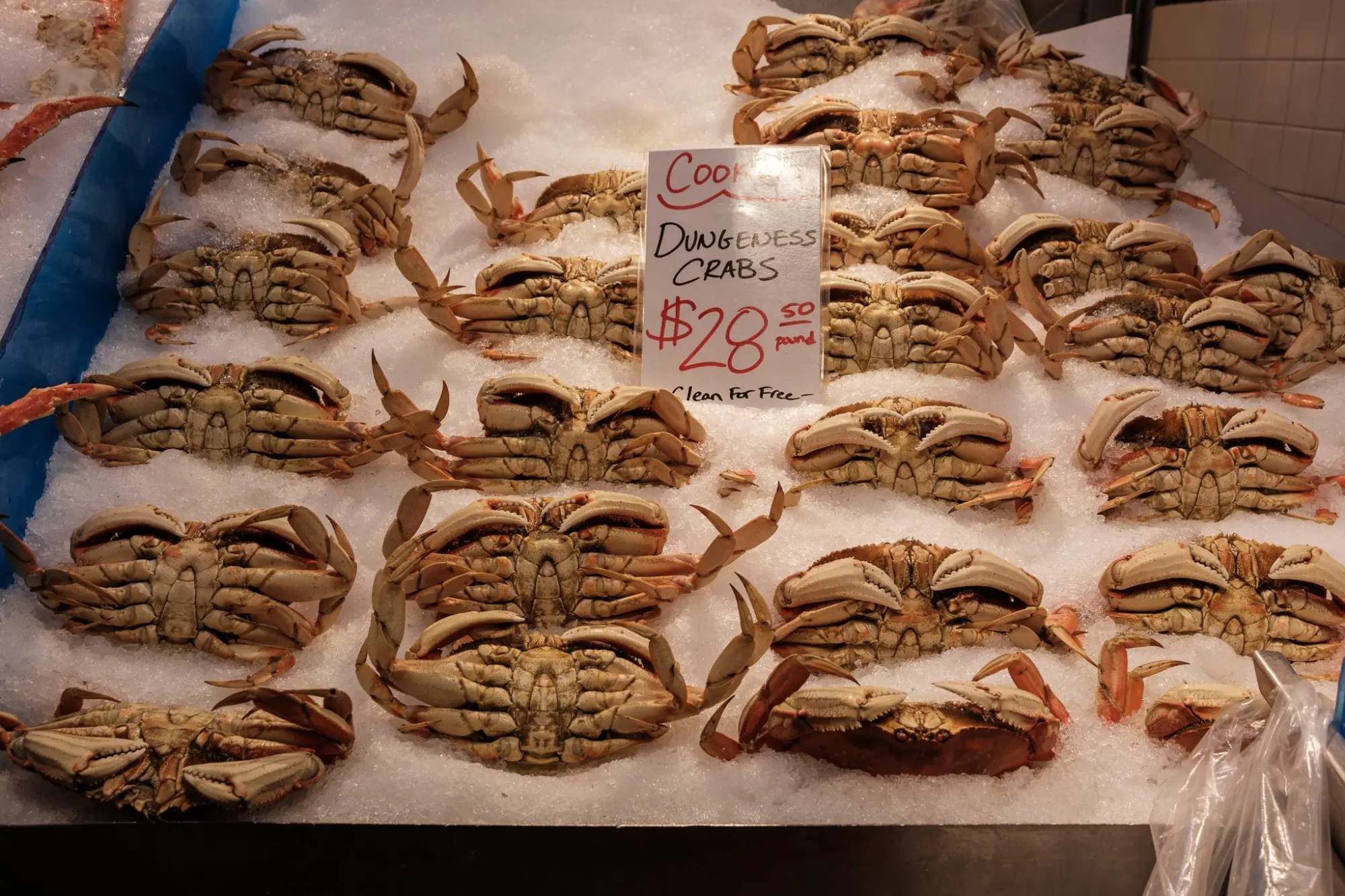 Photo from The rest of the morning was spent exploring Pike Place Market, from the whimsical Gum Wall to a free…, Seattle, WA