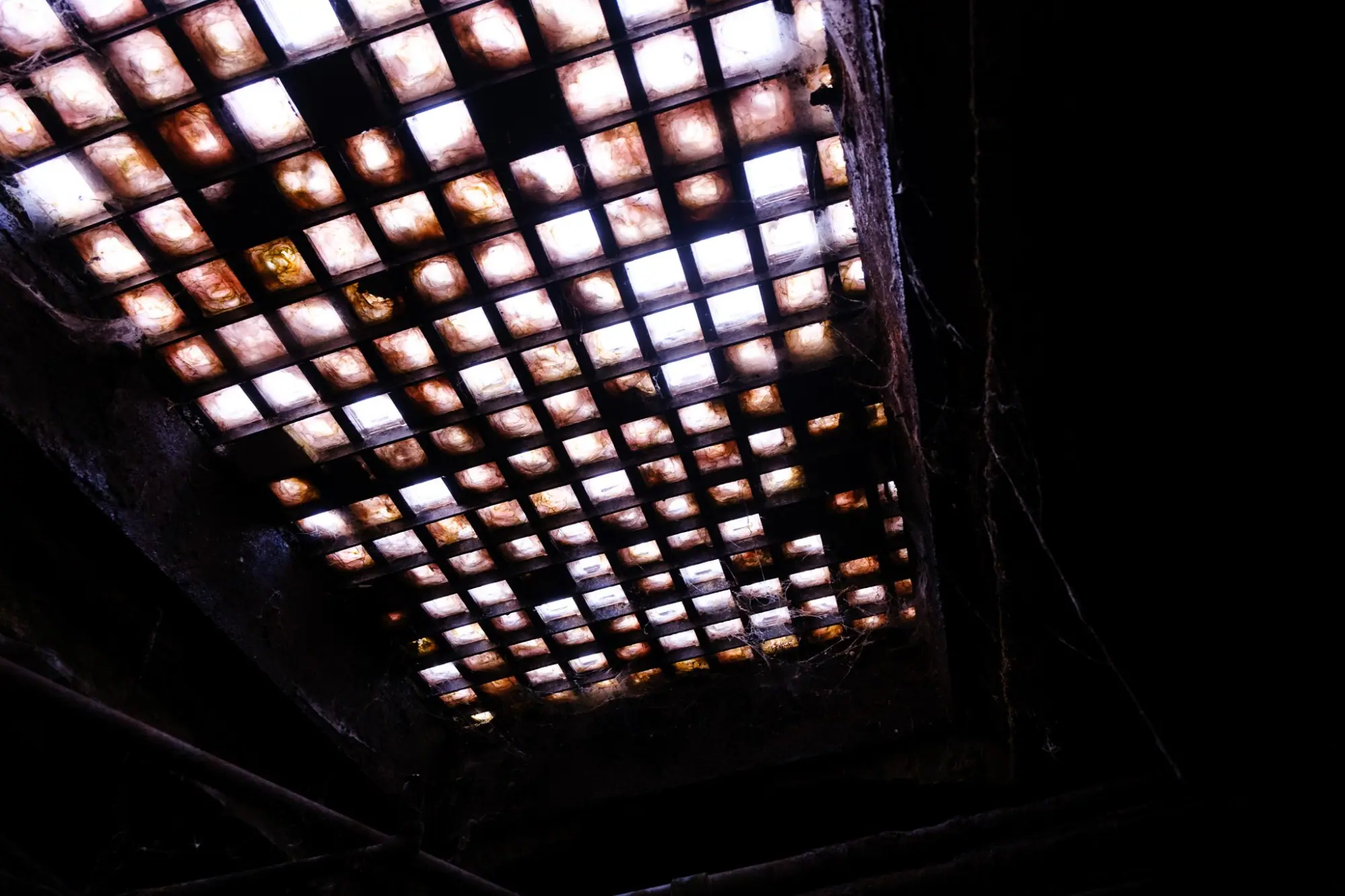 Photo from Next, we explored Seattle’s hidden history on the Underground Tour, a fascinating walk through the old…