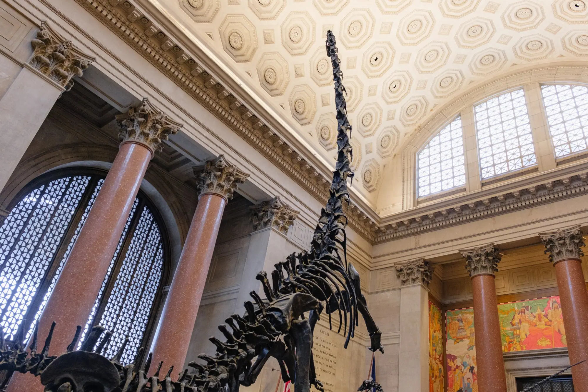 Photo from American Museum of Natural History, New York, NY