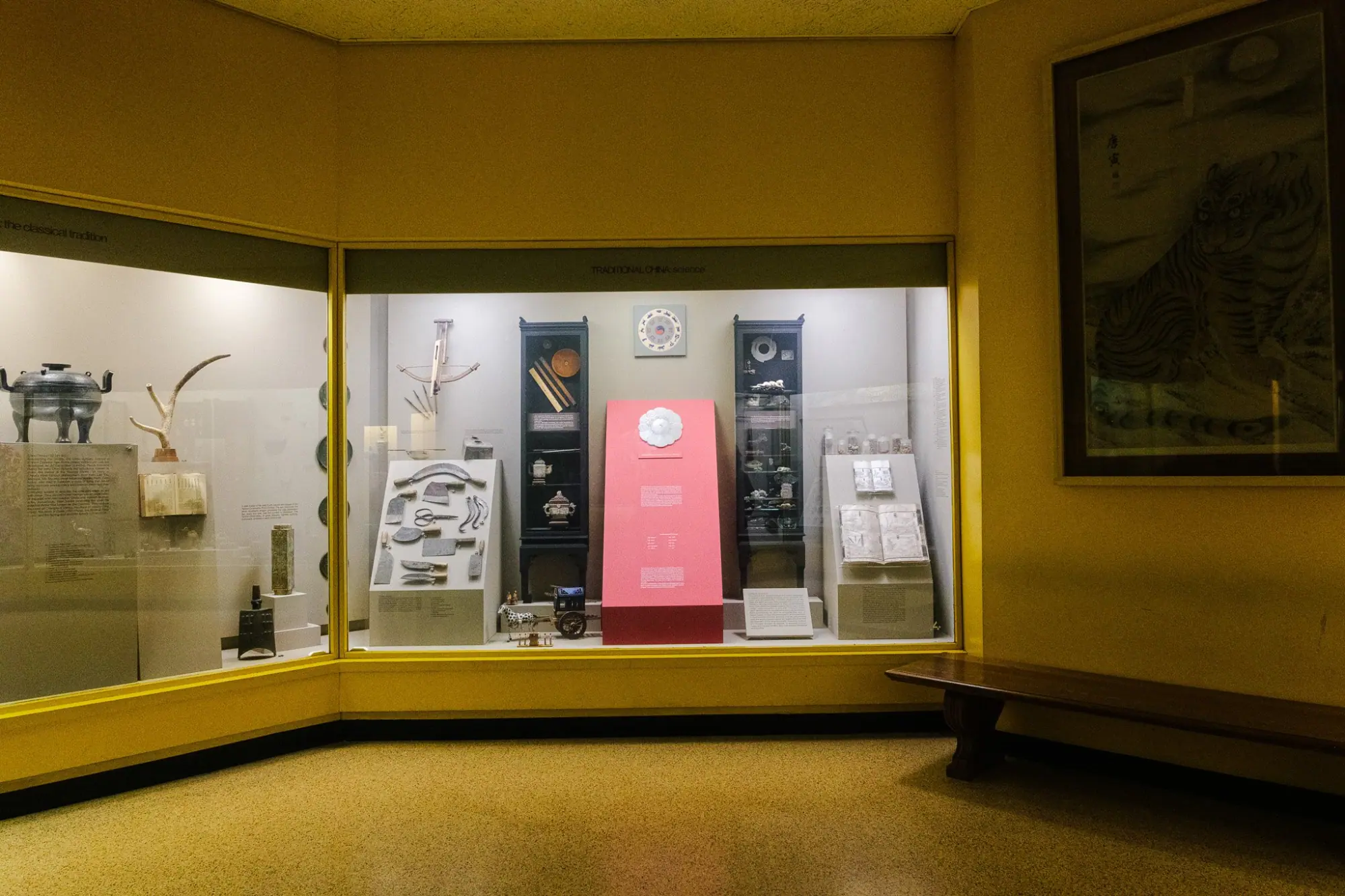 Photo from American Museum of Natural History, New York, NY