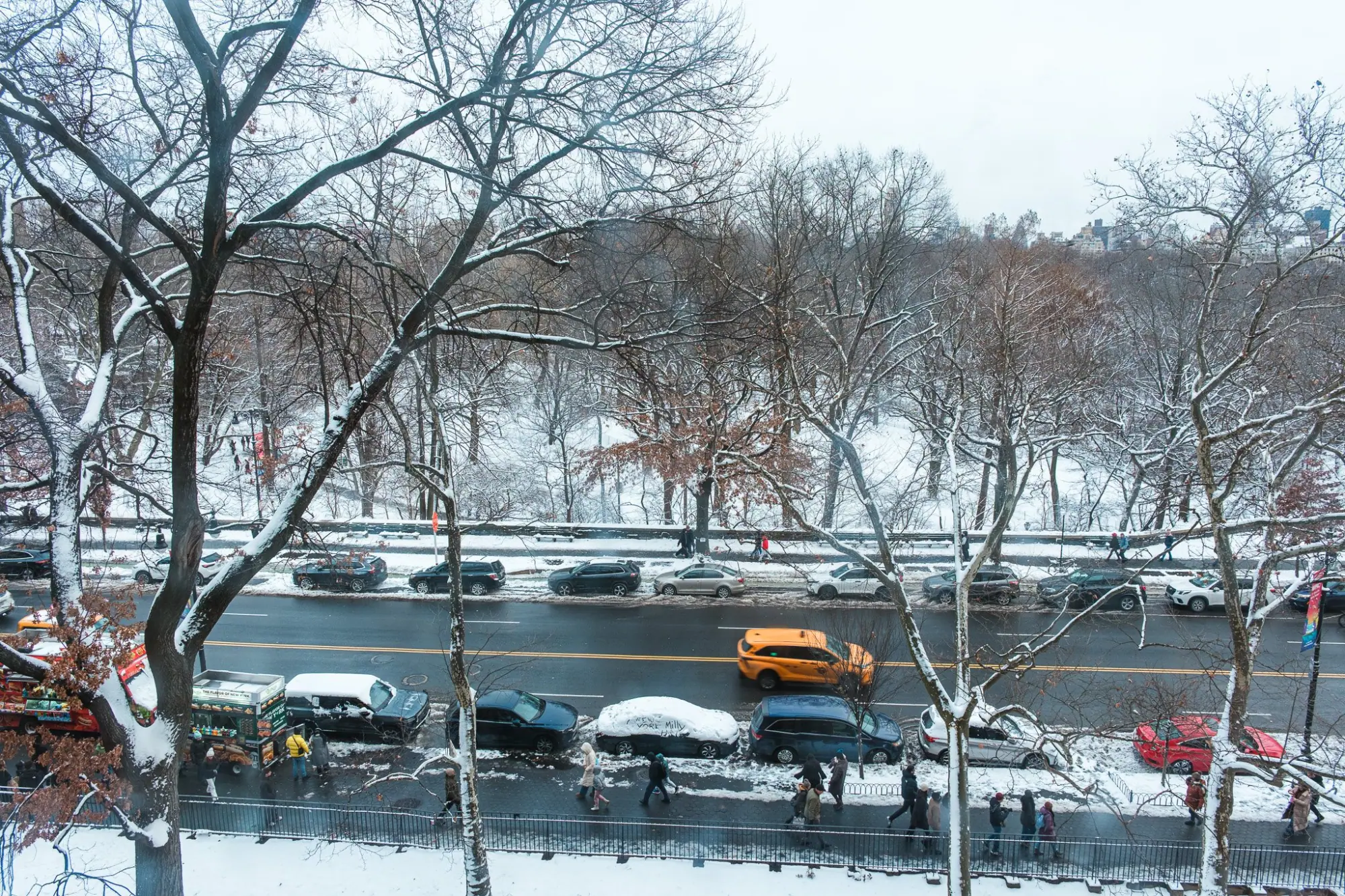 Photo from American Museum of Natural History, New York, NY