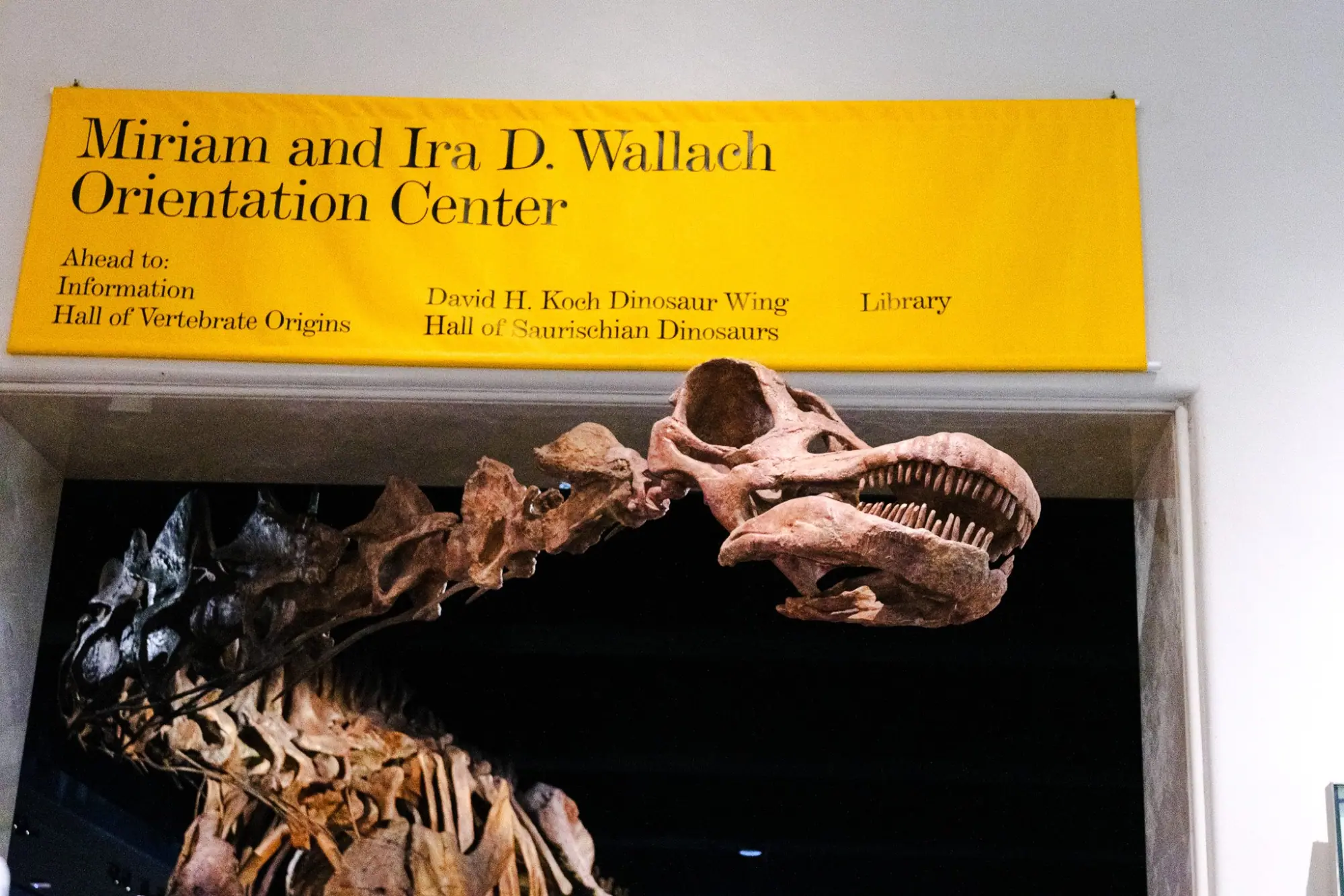 Photo from American Museum of Natural History, New York, NY