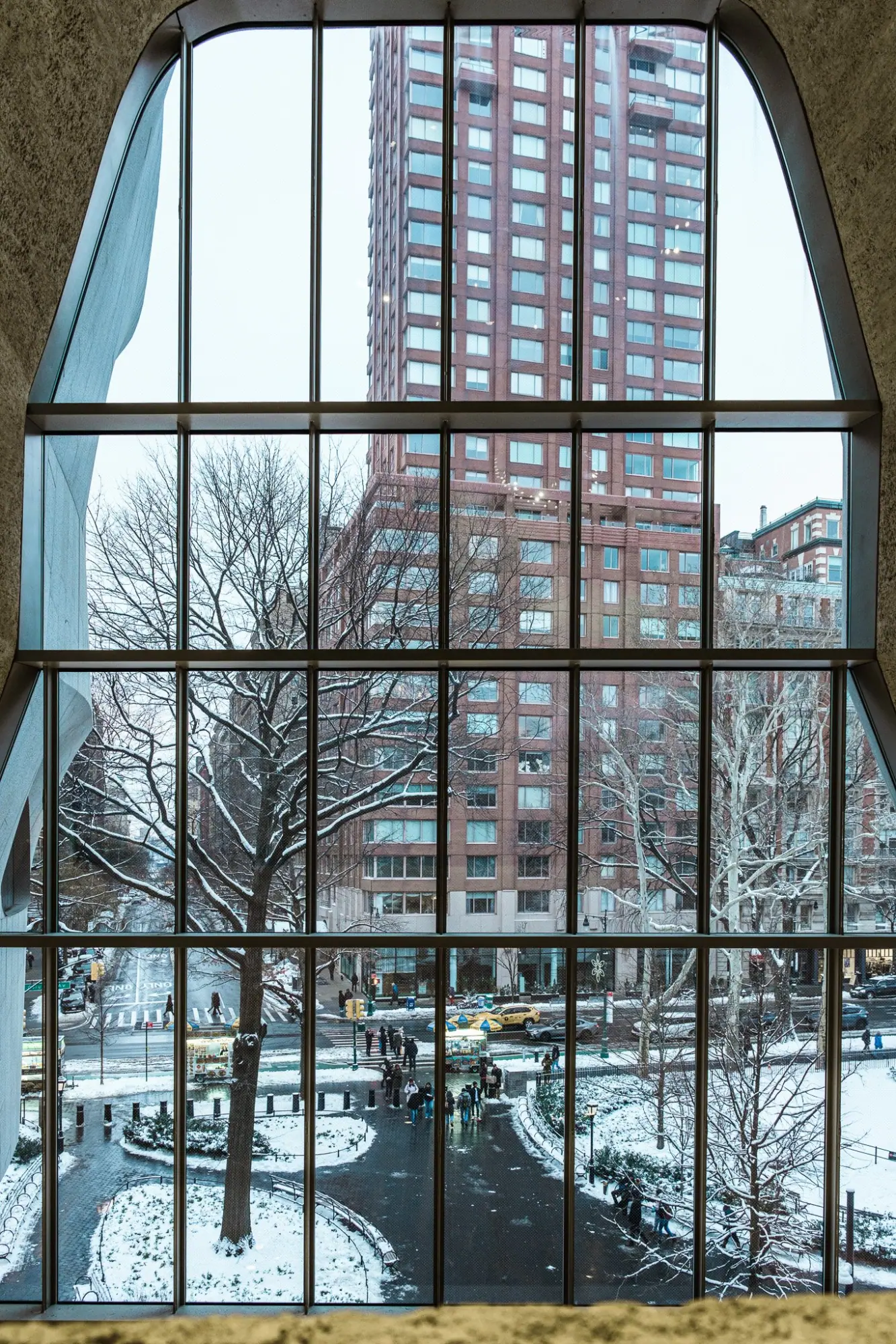 Photo from American Museum of Natural History, New York, NY