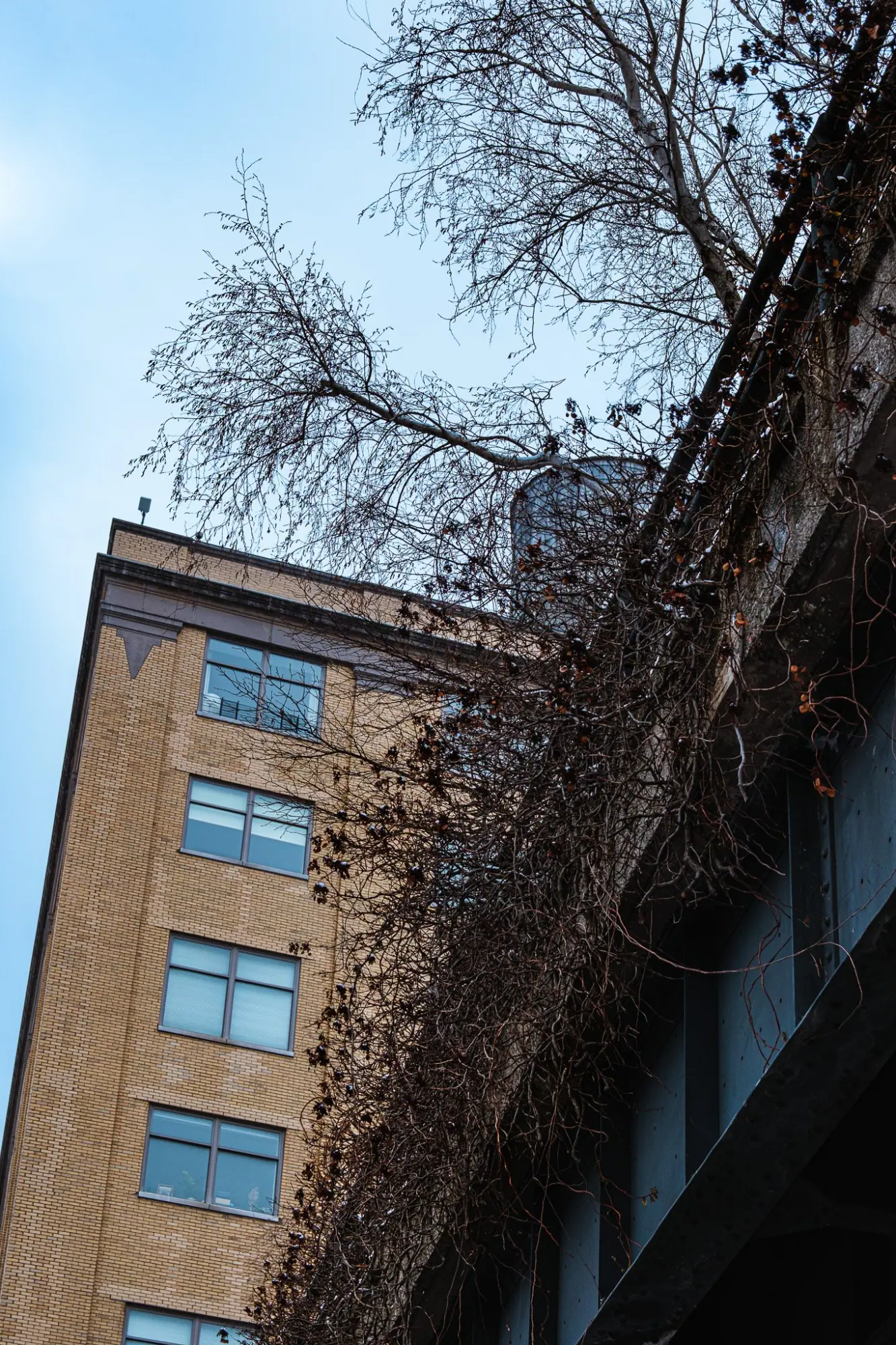 Photo from Meatpacking District & Little Island, New York, NY