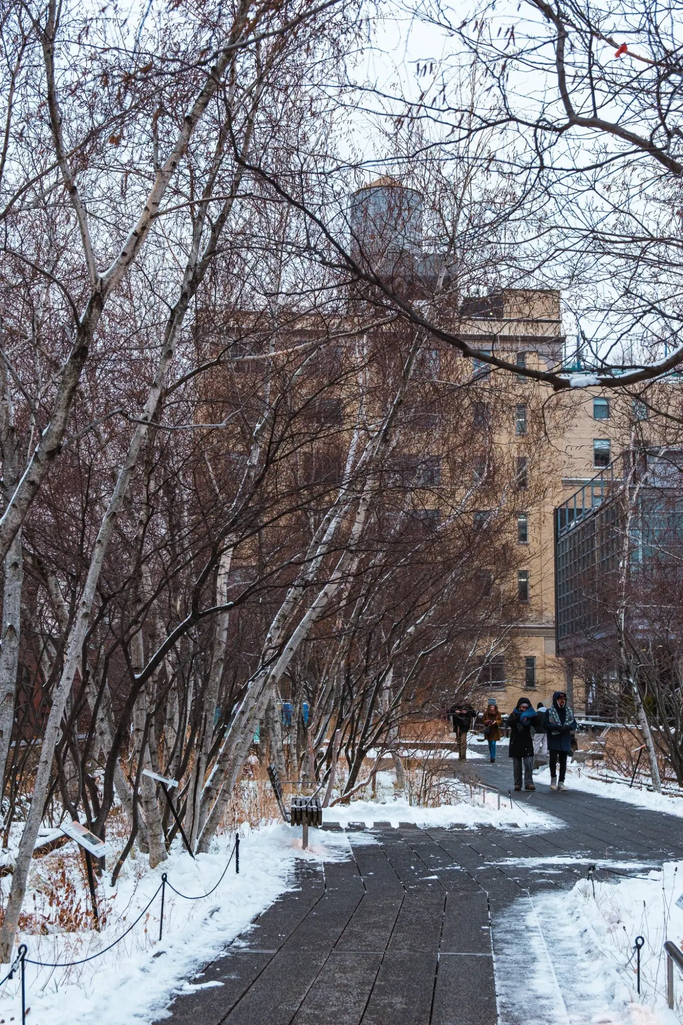 Photo from Meatpacking District & Little Island, New York, NY
