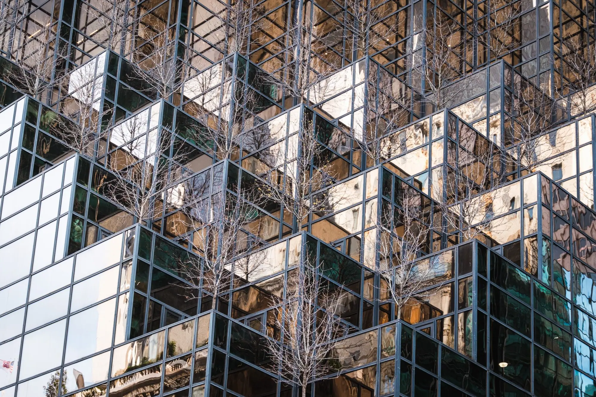 Photo from Fifth Avenue & Louis Vuitton Café, New York, NY