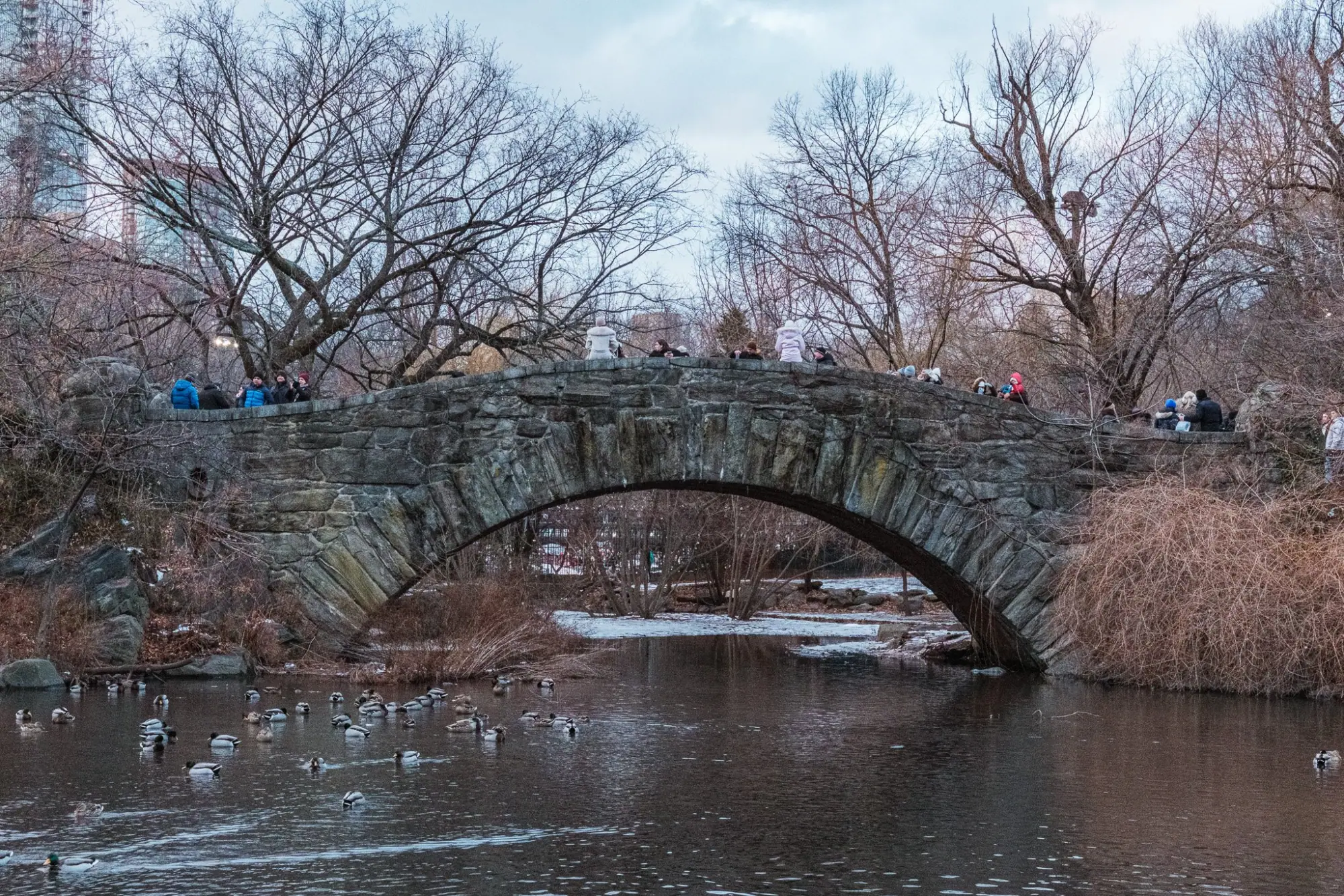 Photo from Central Park, New York, NY