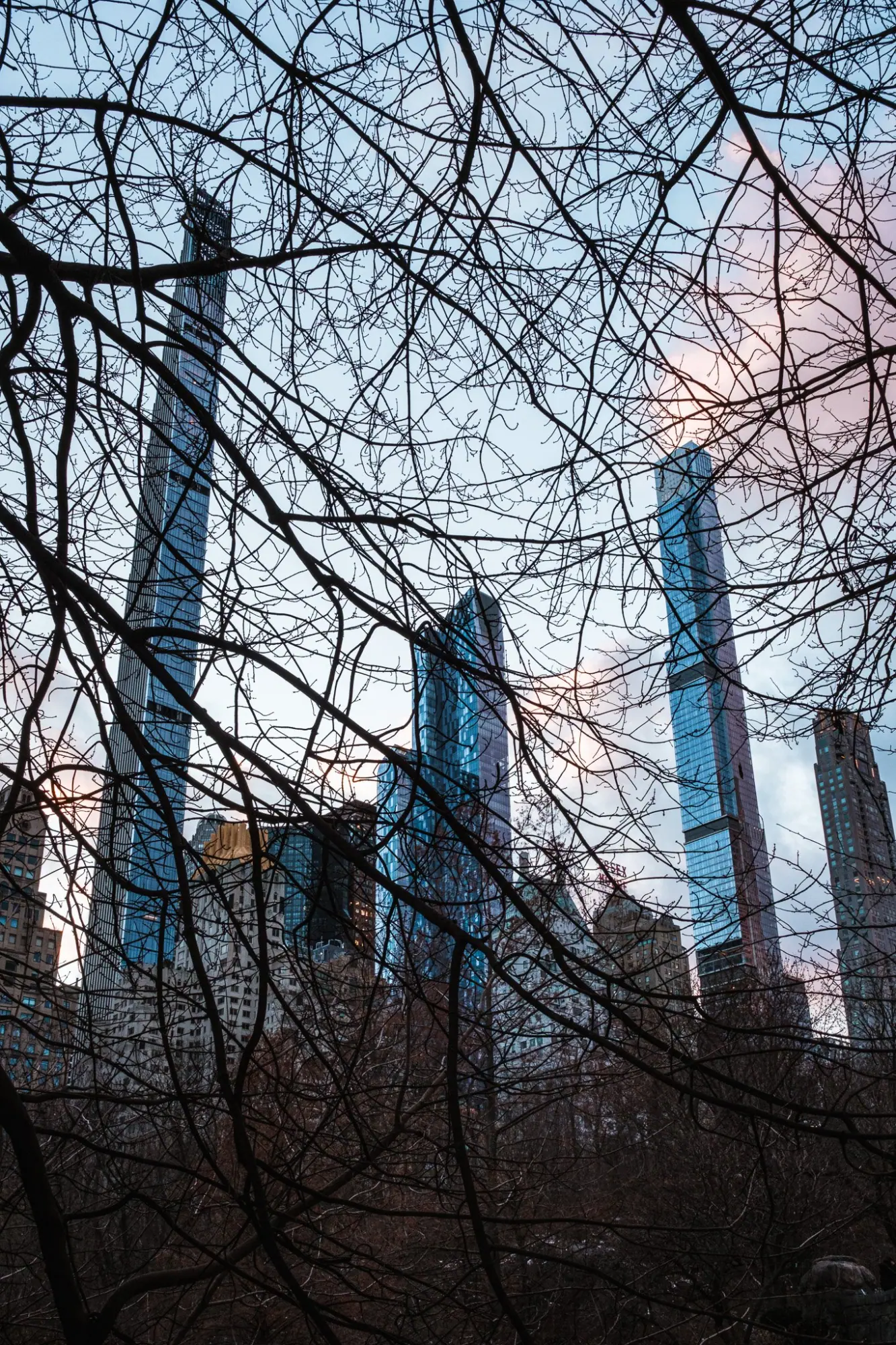 Photo from Central Park, New York, NY