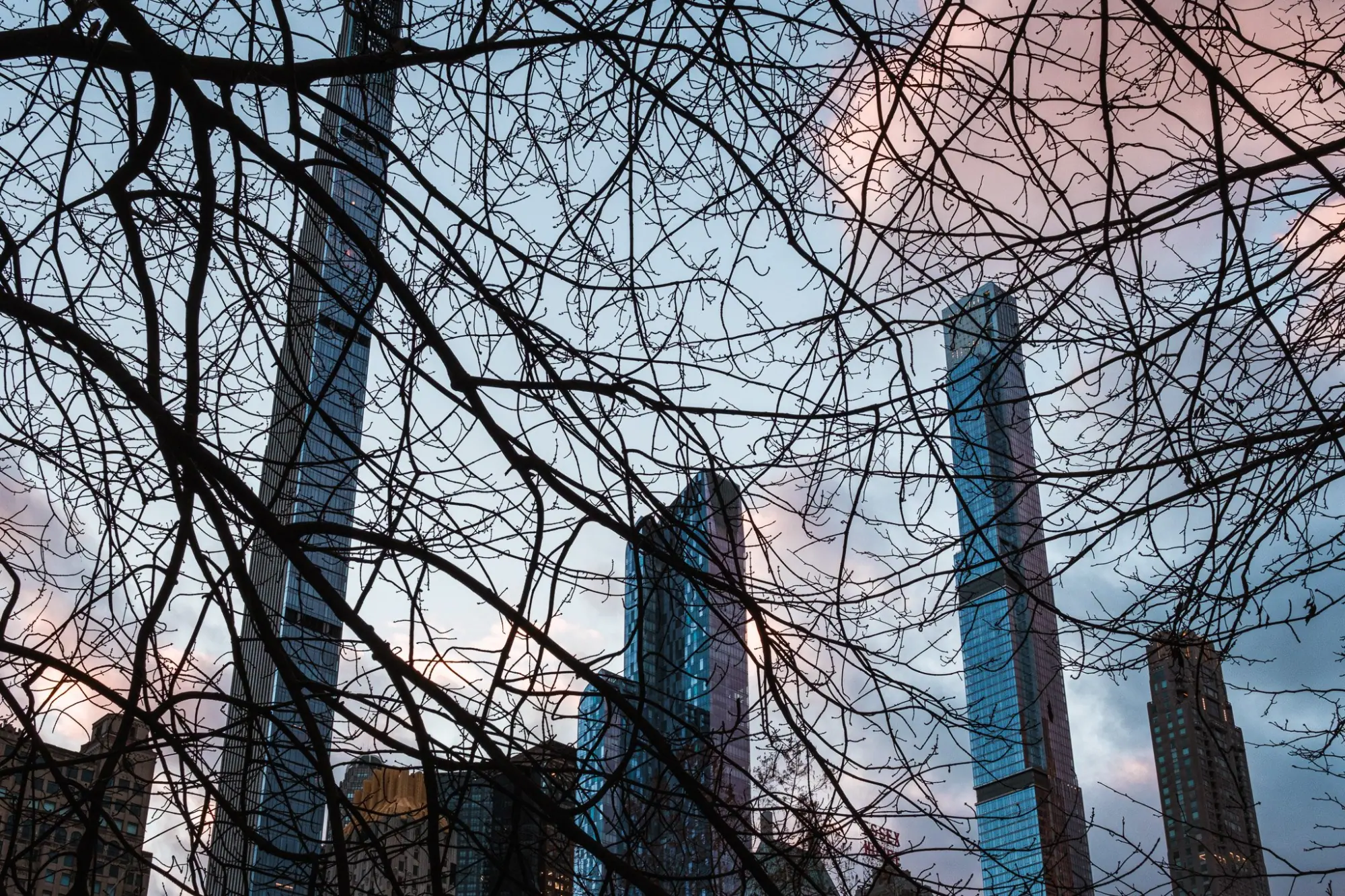 Photo from Central Park, New York, NY