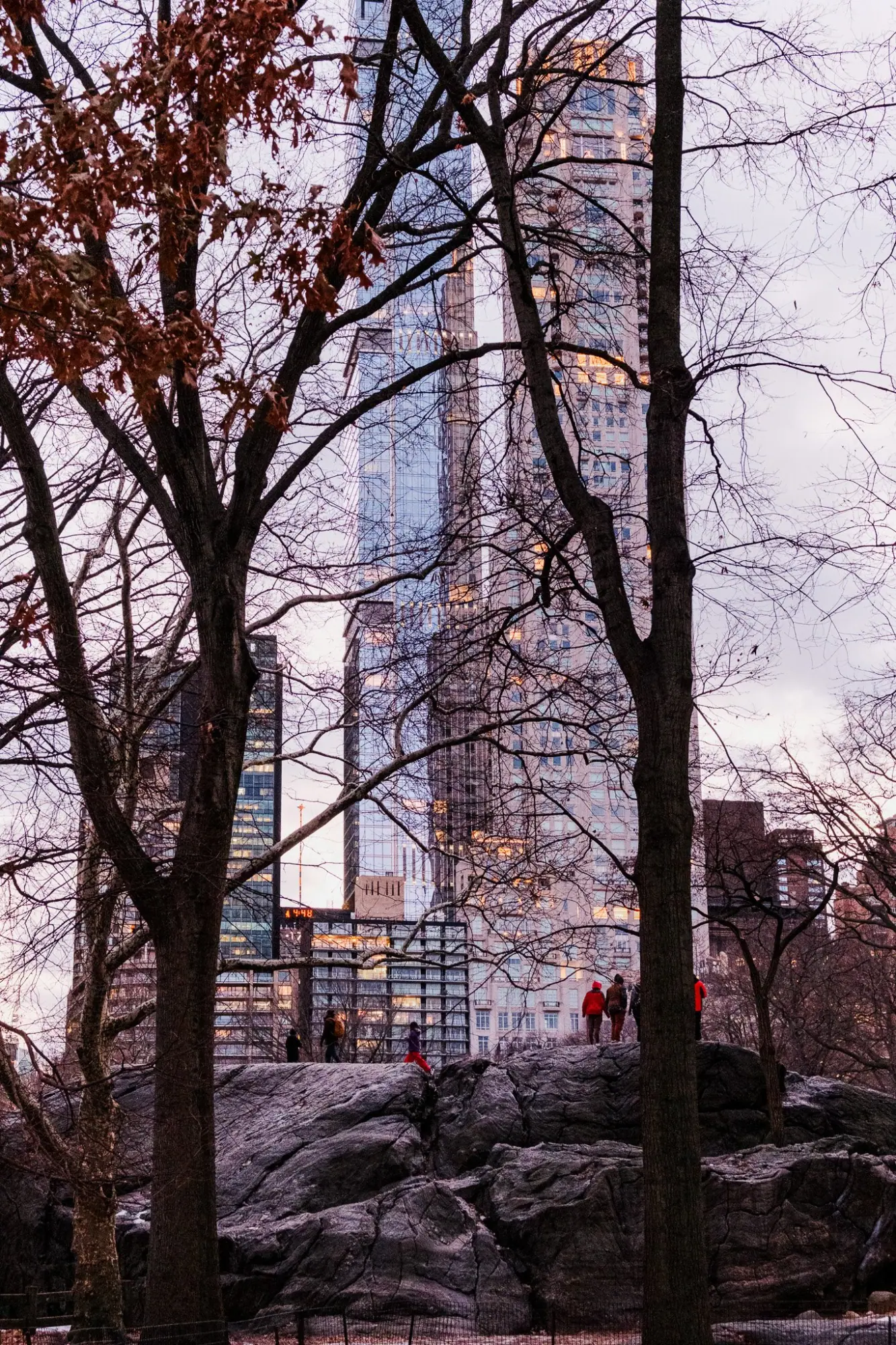 Photo from Central Park, New York, NY