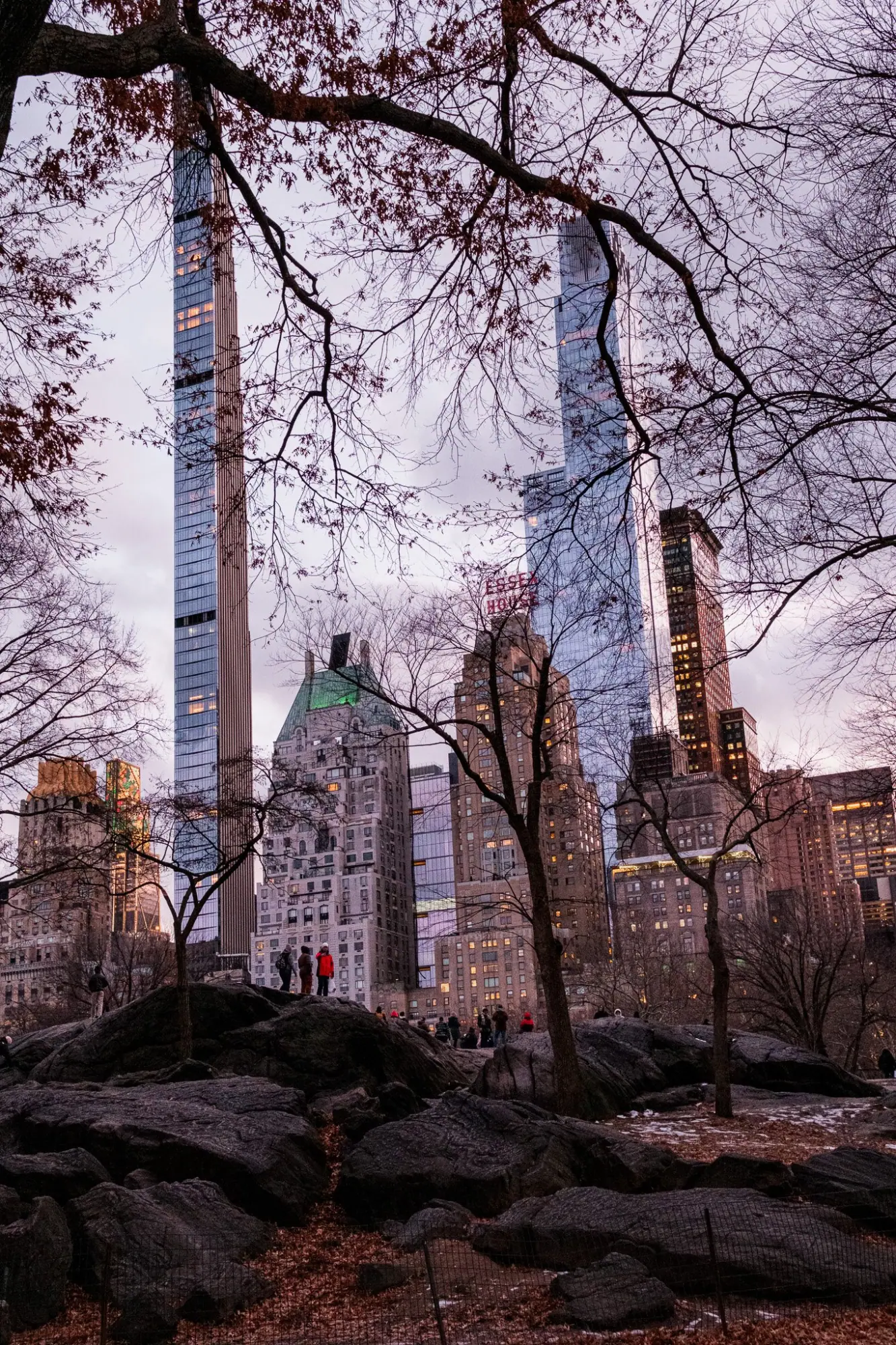 Photo from Central Park, New York, NY