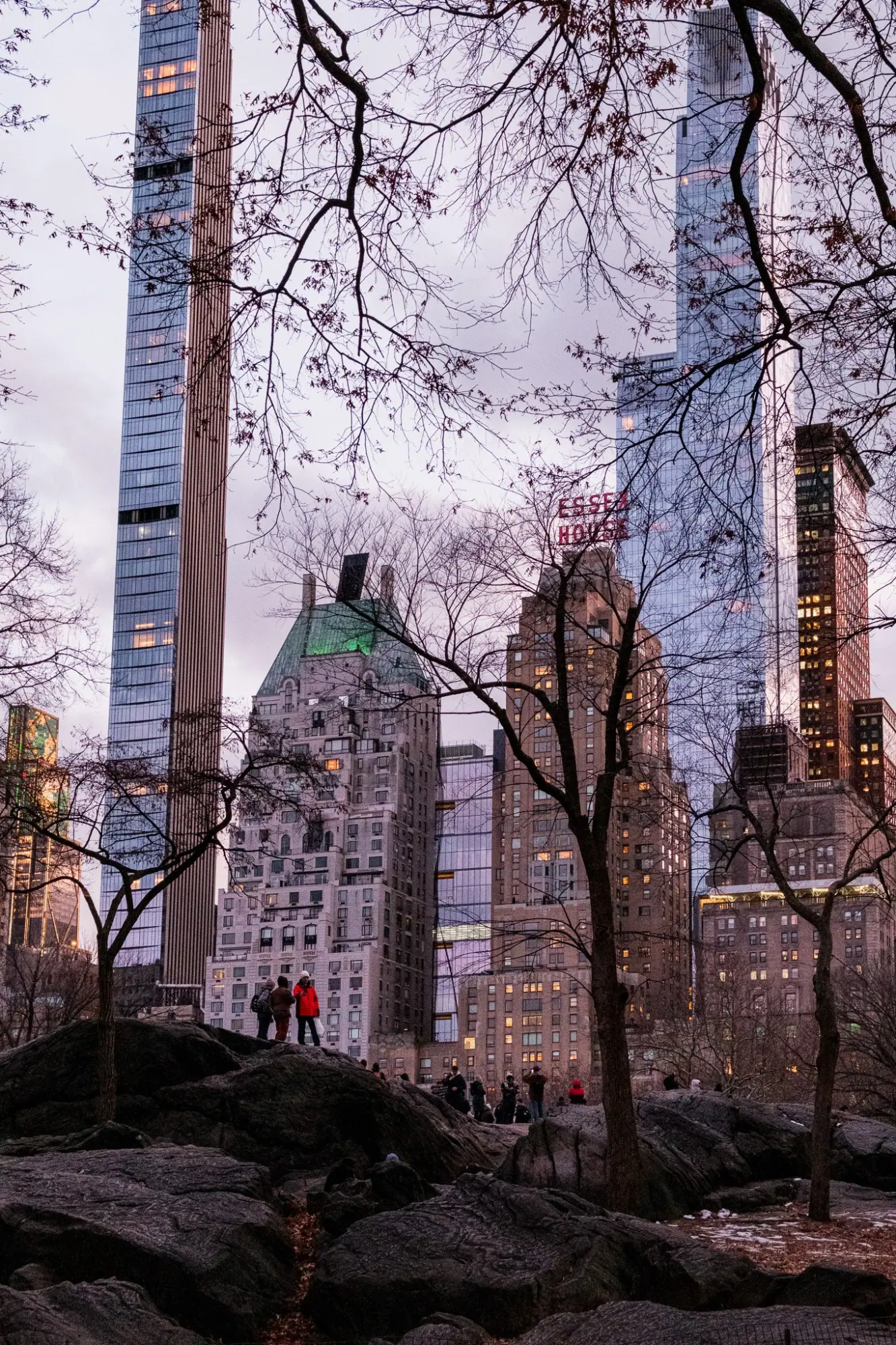 Photo from Central Park, New York, NY