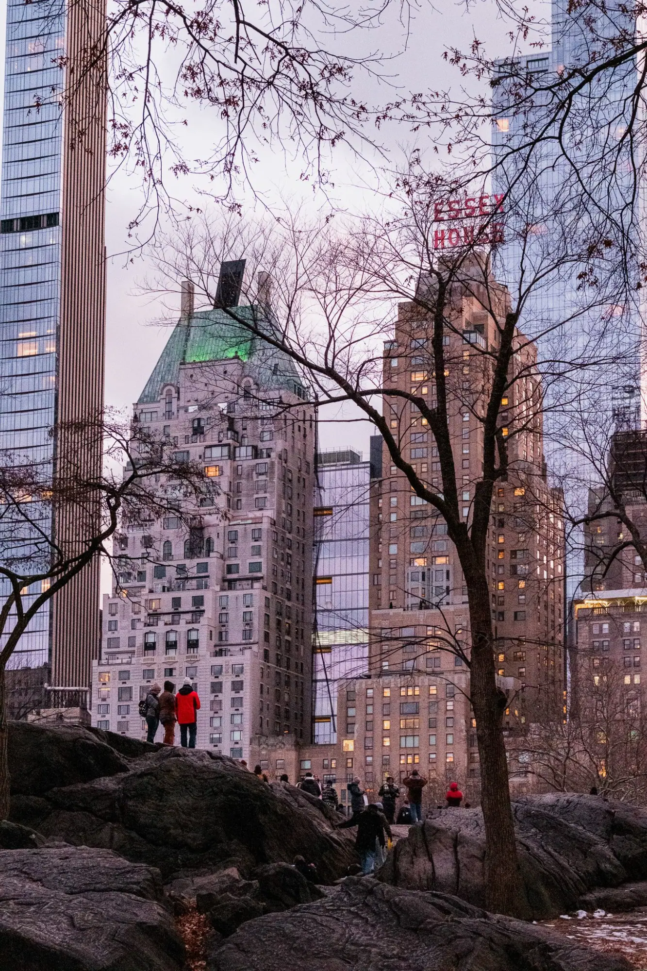 Photo from Central Park, New York, NY
