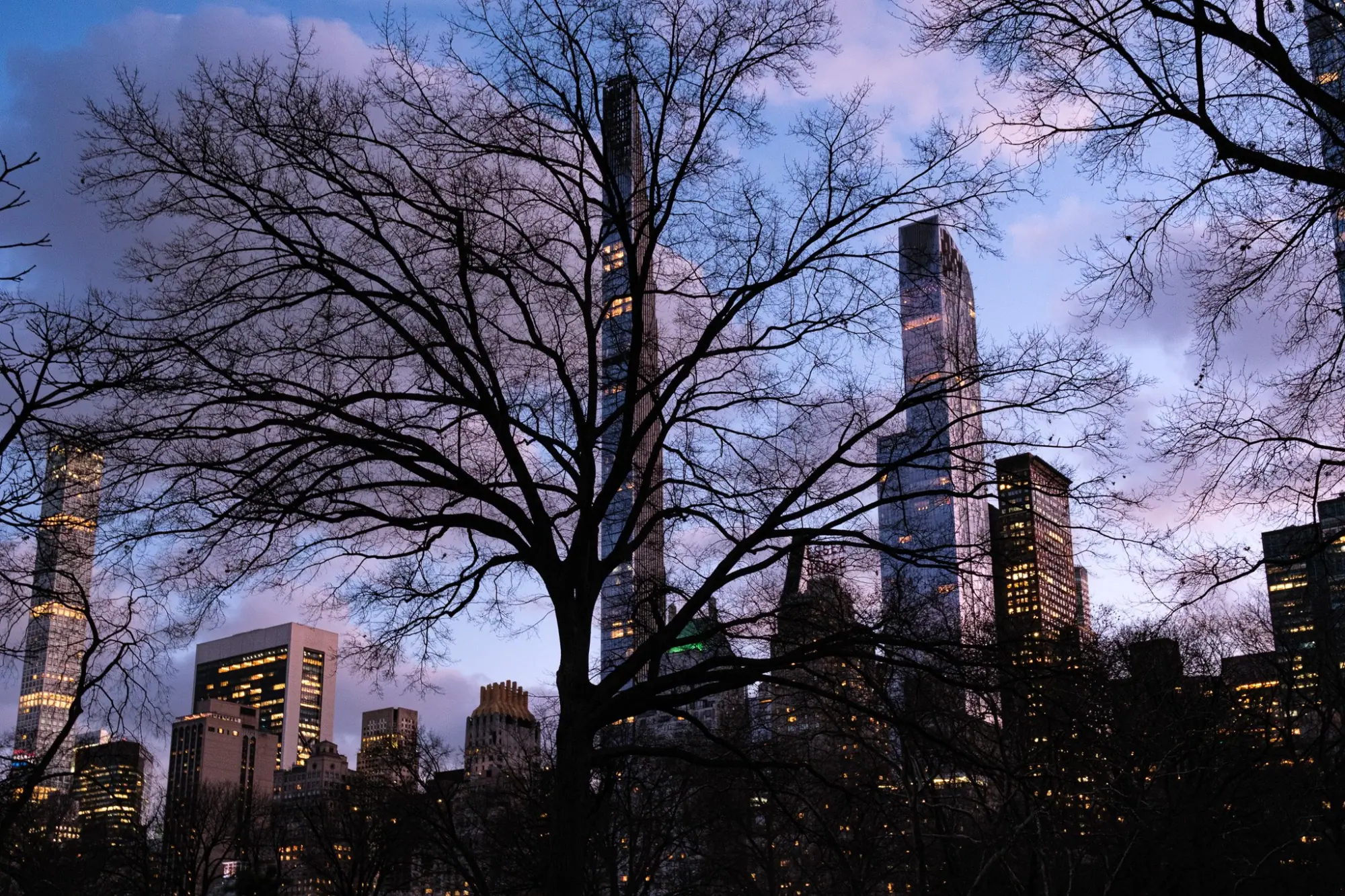Photo from Central Park, New York, NY