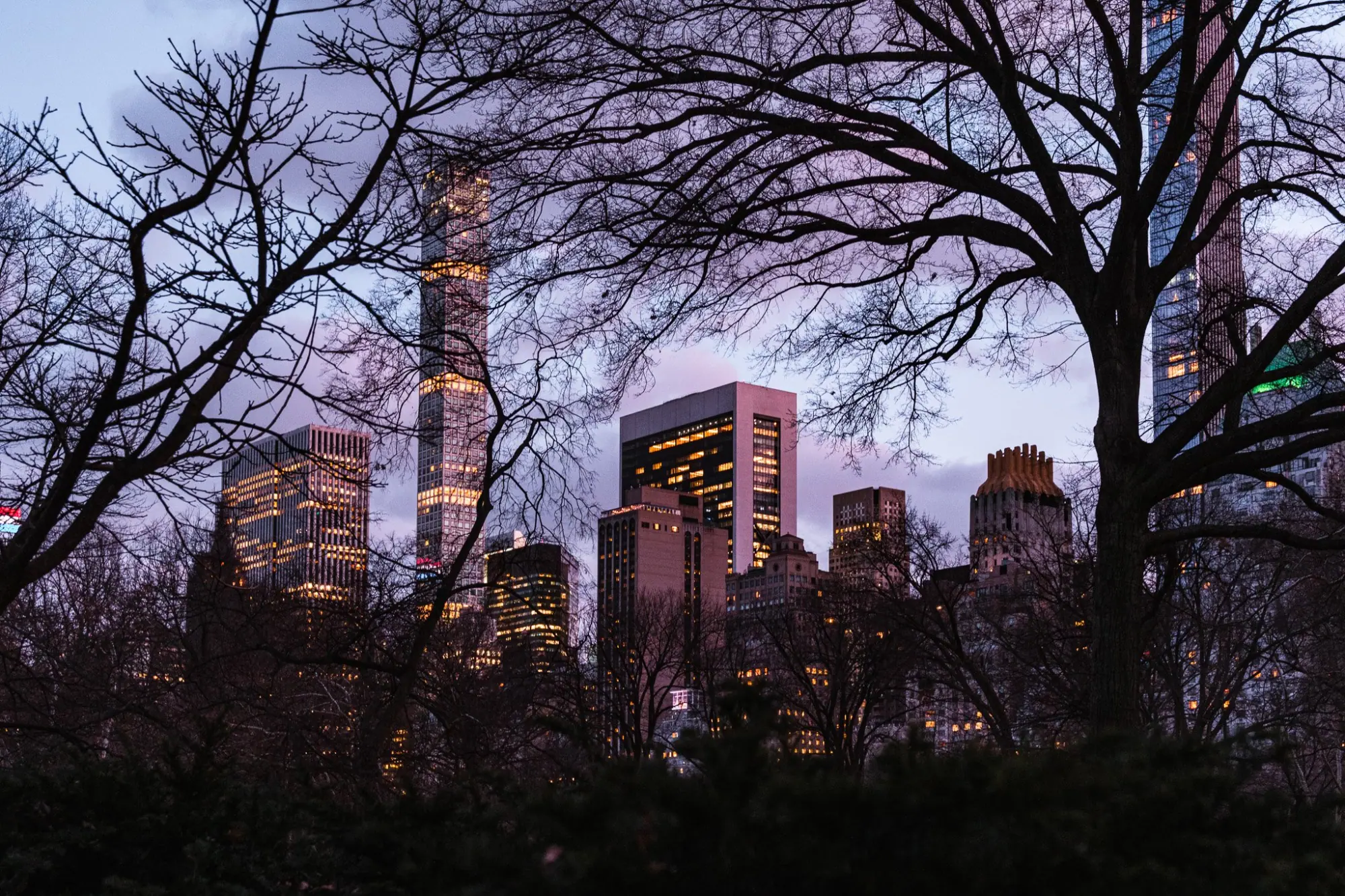 Photo from Central Park, New York, NY