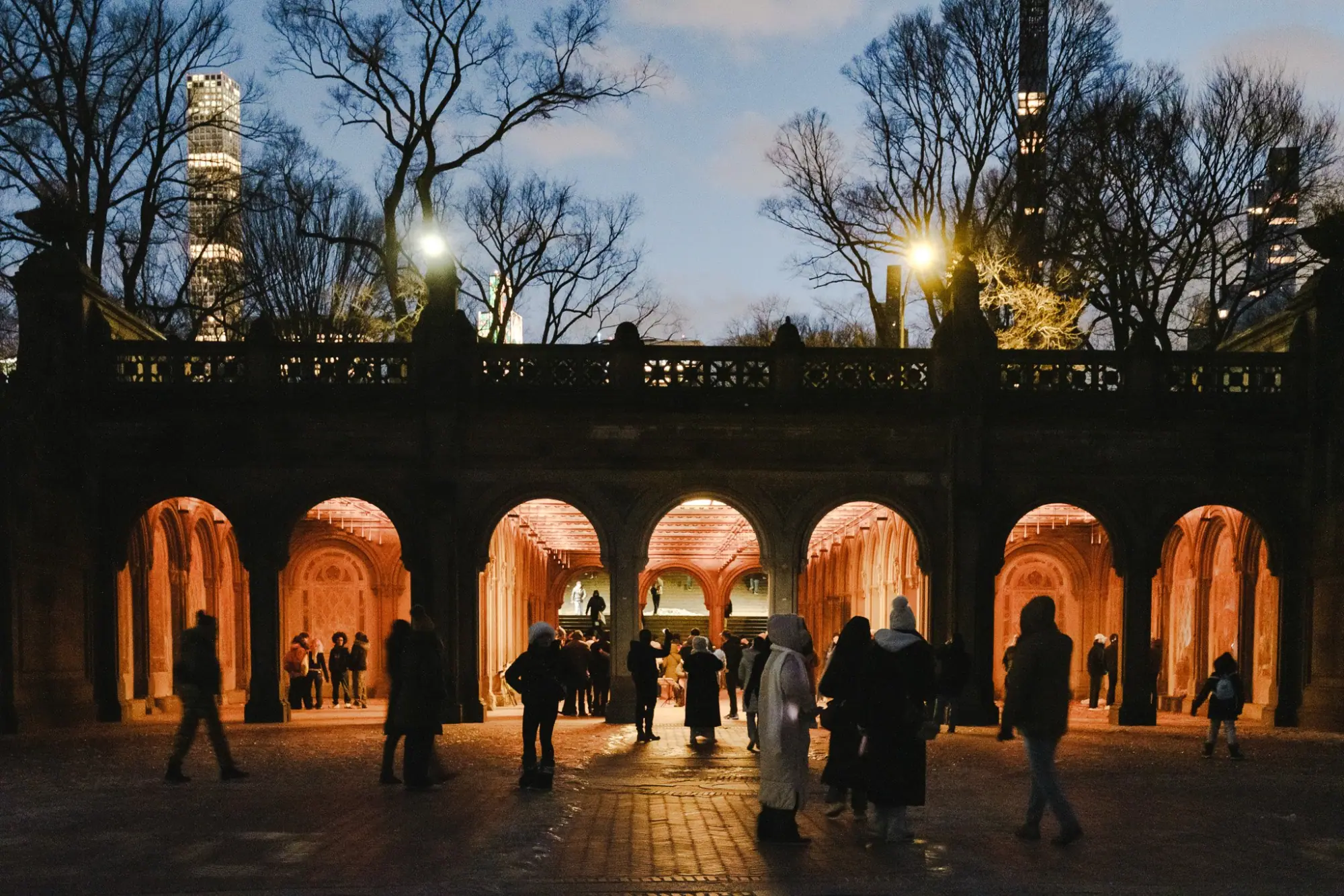 Photo from Central Park, New York, NY