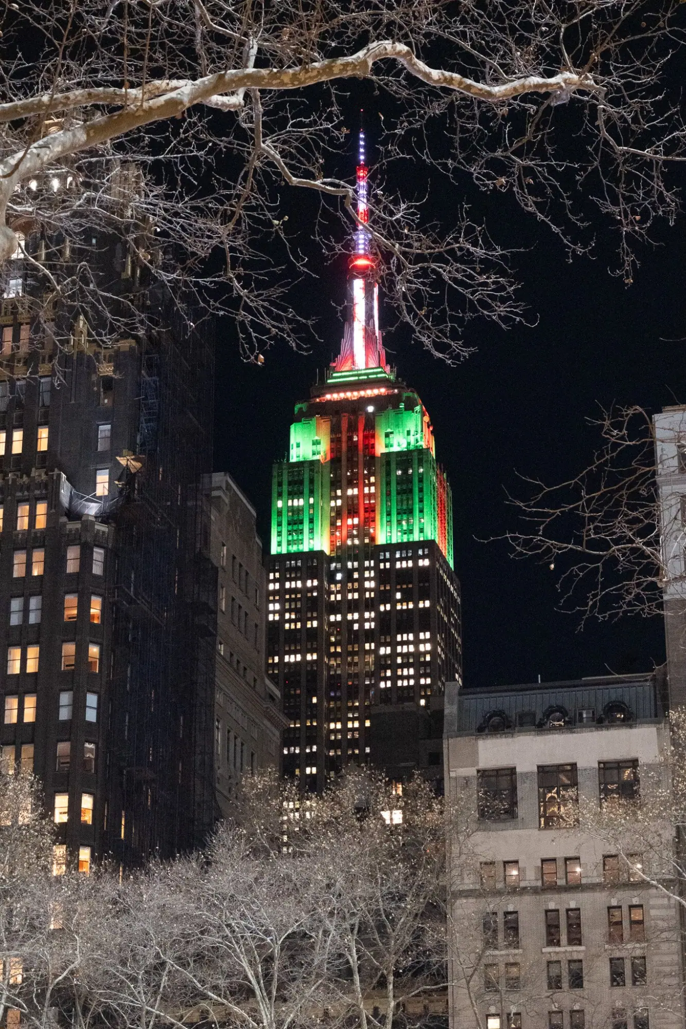 Photo from Bryant Park, New York, NY