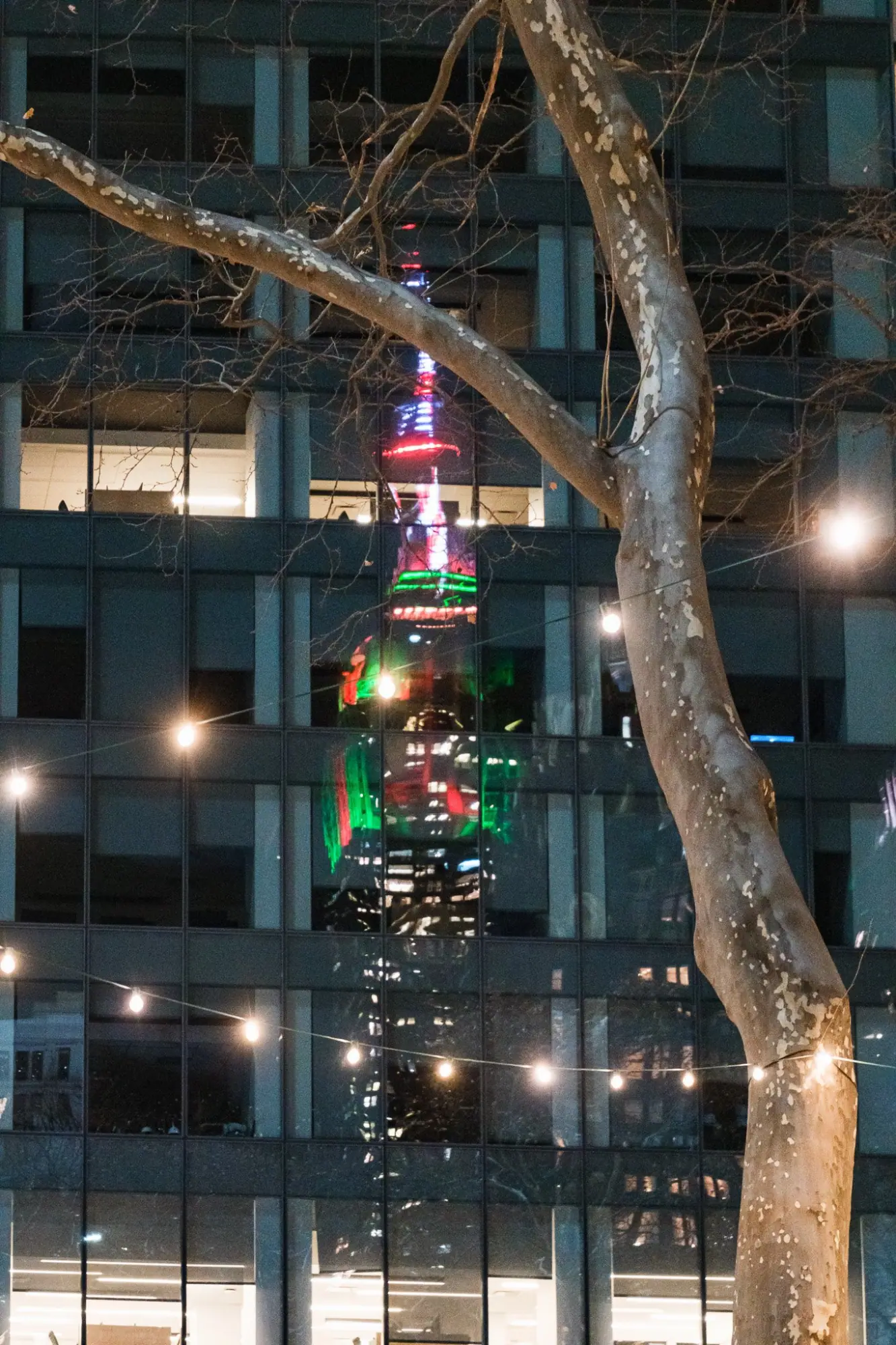 Photo from Bryant Park, New York, NY