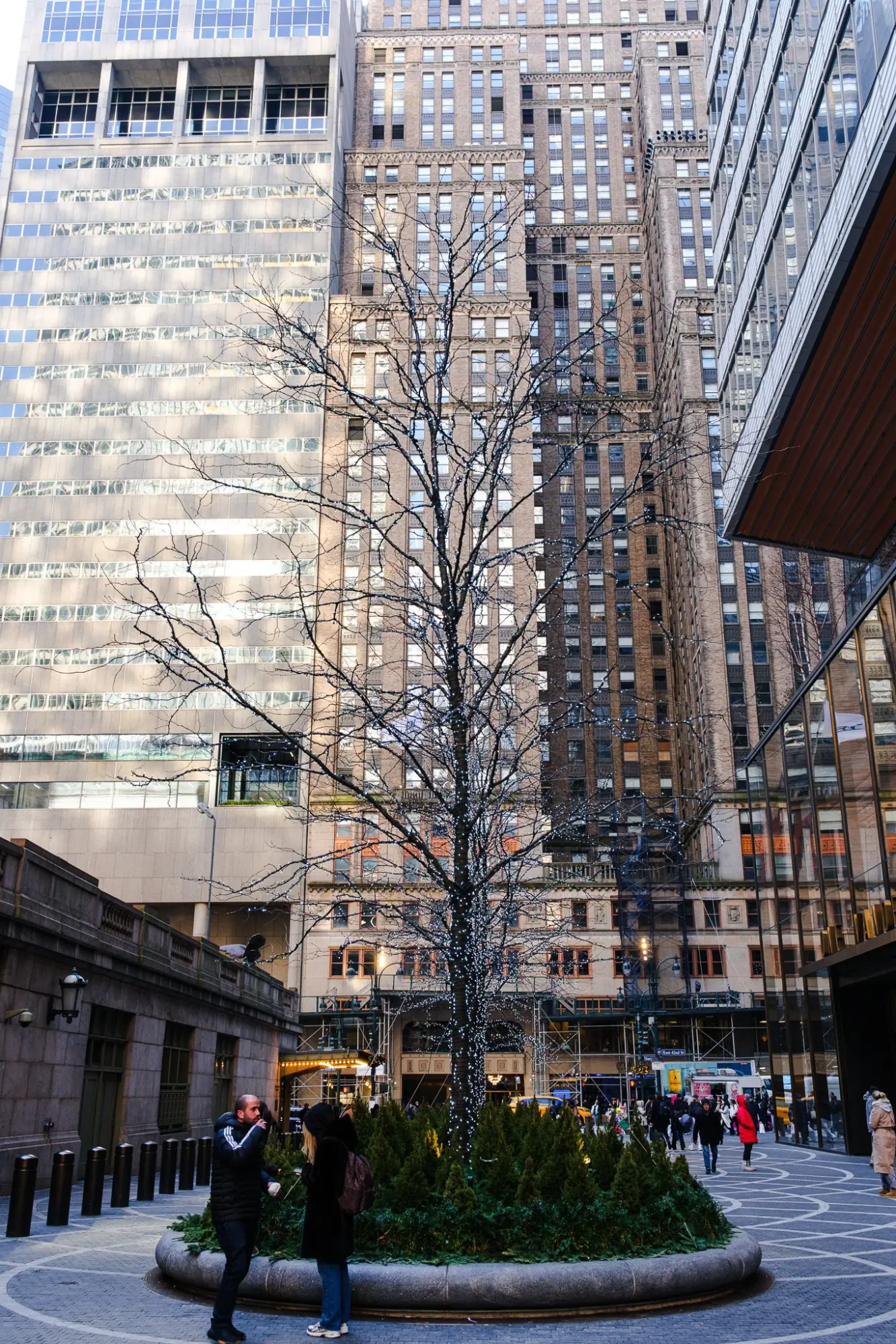 Photo from New York Public Library & Grand Central Terminal