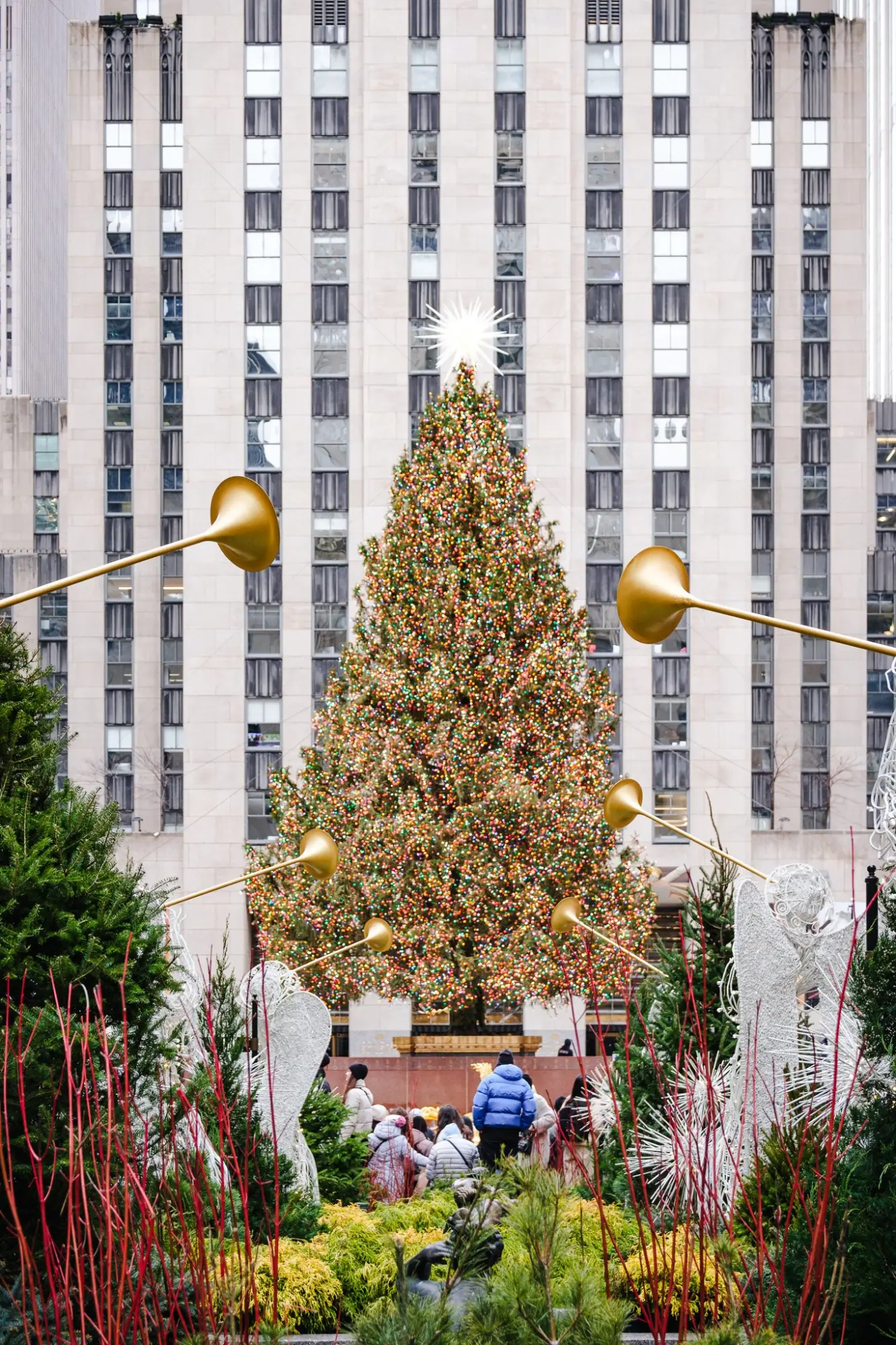 Photo from Rockefeller Center & FAO Schwarz, New York, NY
